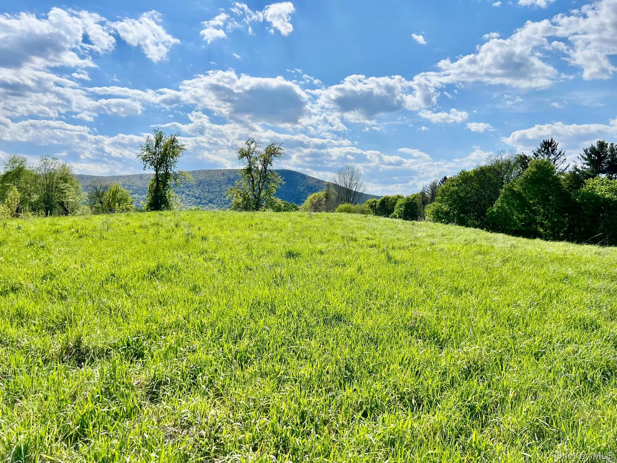 7668 Route 82, Pine Plains, NY, 4 Bedrooms Bedrooms, 9 Rooms Rooms,1 BathroomBathrooms,Residential,For Rent,Route 82,0,880499 7668 Route 82, Pine Plains, NY, 4 Bedrooms Bedrooms, 9 Rooms Rooms,1 BathroomBathrooms,Residential,For Rent,Route 82,0,880499