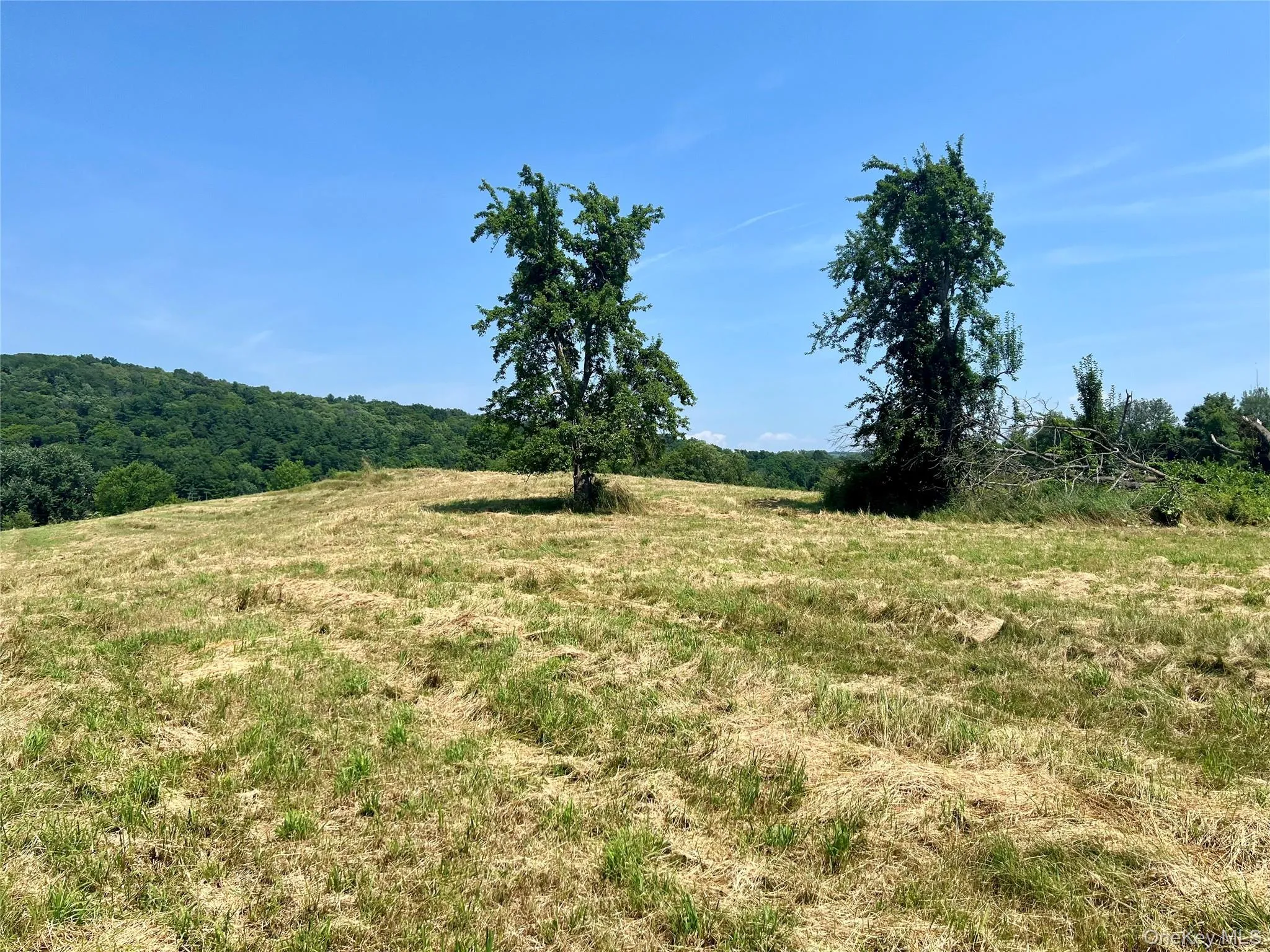 Field Field