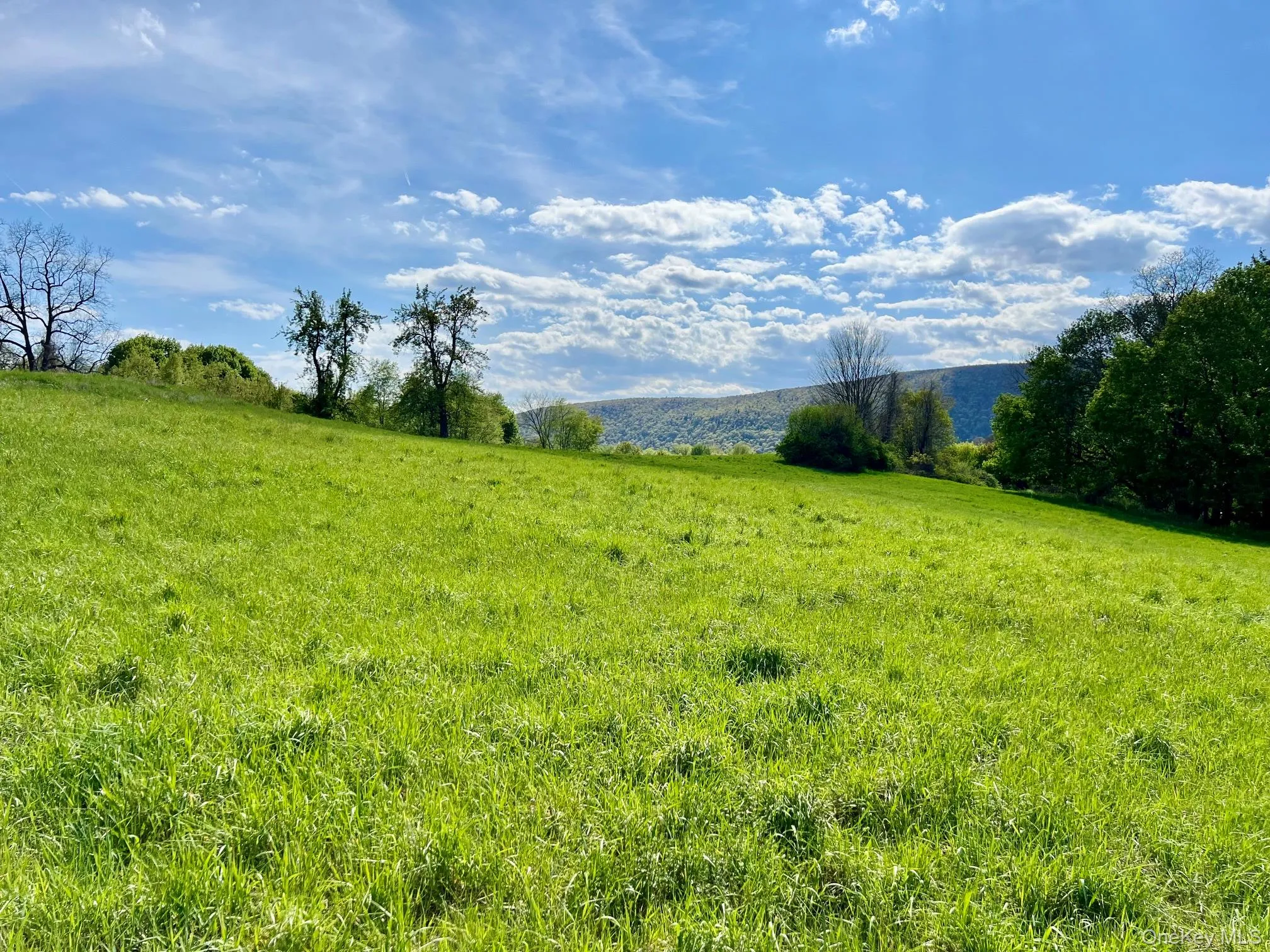 7668 Route 82, Pine Plains, NY, 4 Bedrooms Bedrooms, 9 Rooms Rooms,1 BathroomBathrooms,Residential,For Rent,Route 82,0,880499 7668 Route 82, Pine Plains, NY, 4 Bedrooms Bedrooms, 9 Rooms Rooms,1 BathroomBathrooms,Residential,For Rent,Route 82,0,880499