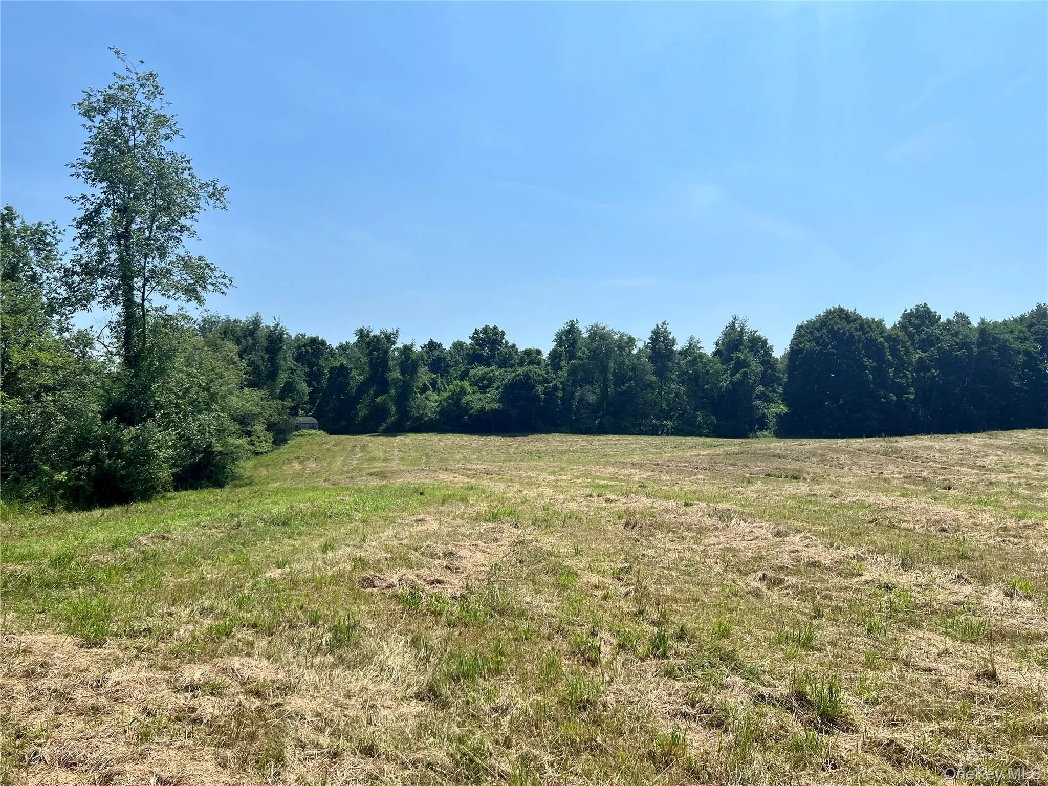 Field Field