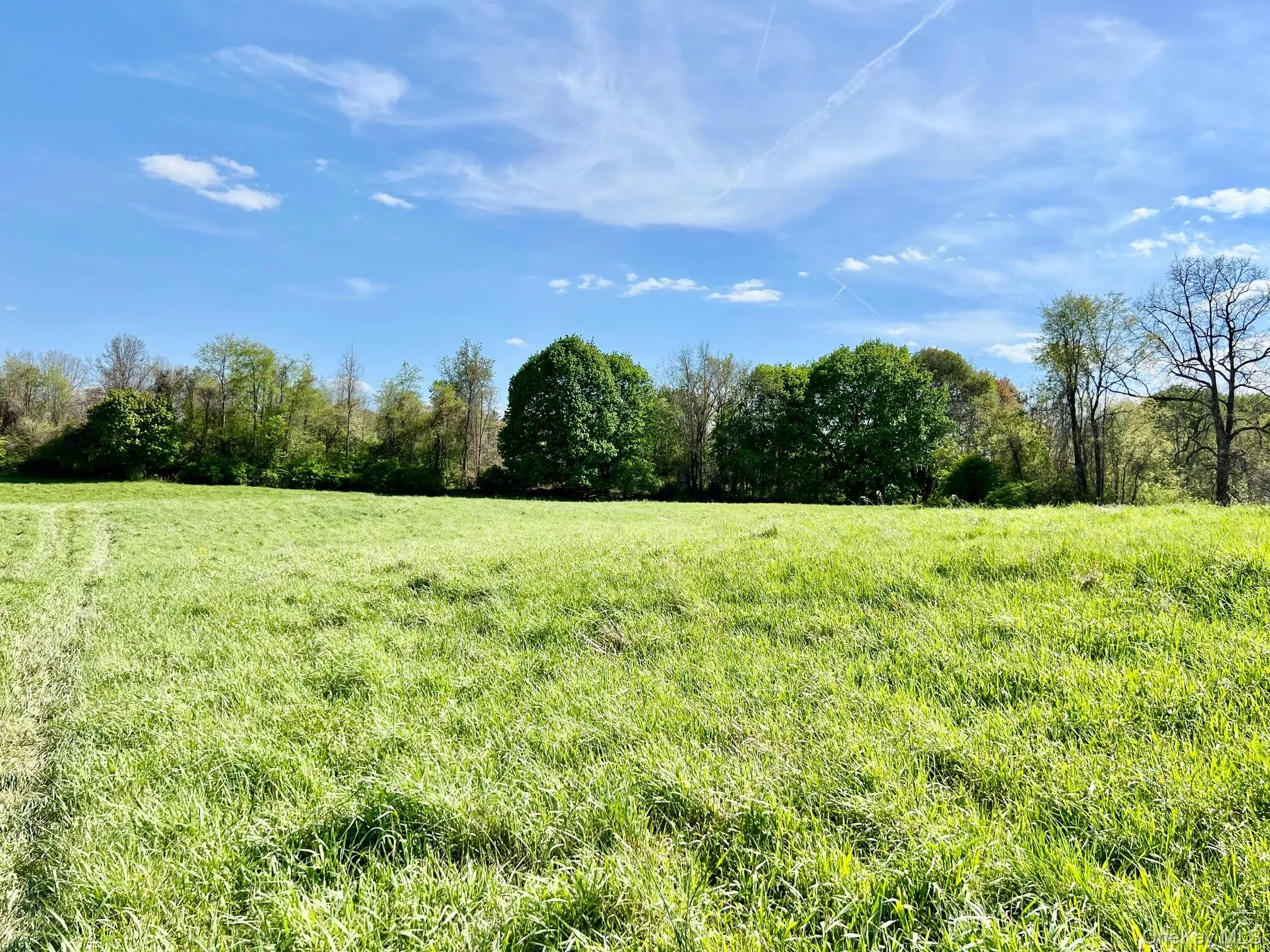 7668 Route 82, Pine Plains, NY, 4 Bedrooms Bedrooms, 9 Rooms Rooms,1 BathroomBathrooms,Residential,For Rent,Route 82,0,880499 7668 Route 82, Pine Plains, NY, 4 Bedrooms Bedrooms, 9 Rooms Rooms,1 BathroomBathrooms,Residential,For Rent,Route 82,0,880499