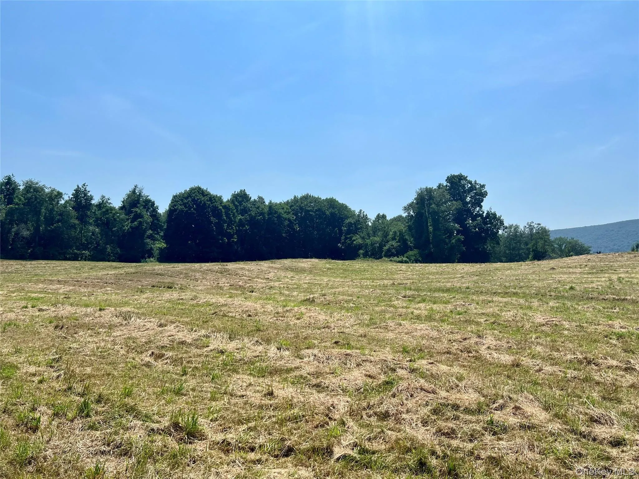 Field Field