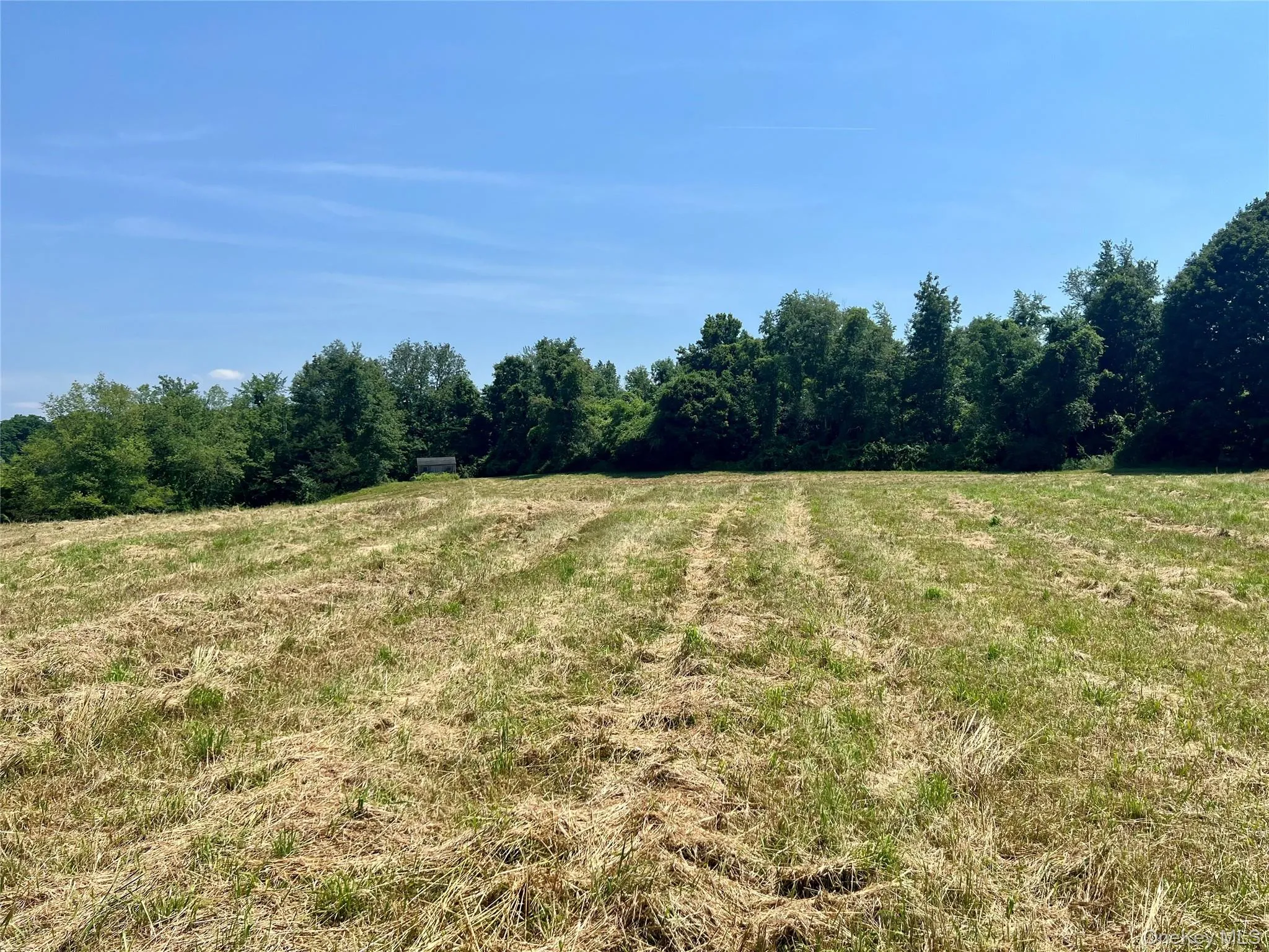 Field Field