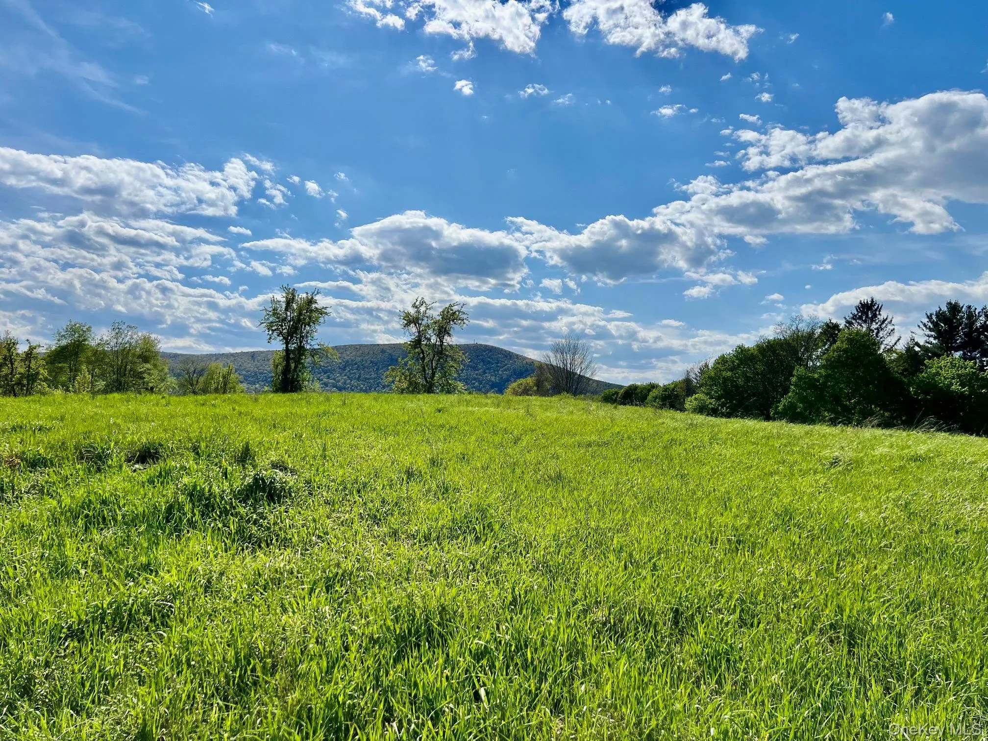7668 Route 82, Pine Plains, NY, 4 Bedrooms Bedrooms, 9 Rooms Rooms,1 BathroomBathrooms,Residential,For Rent,Route 82,0,880499 7668 Route 82, Pine Plains, NY, 4 Bedrooms Bedrooms, 9 Rooms Rooms,1 BathroomBathrooms,Residential,For Rent,Route 82,0,880499