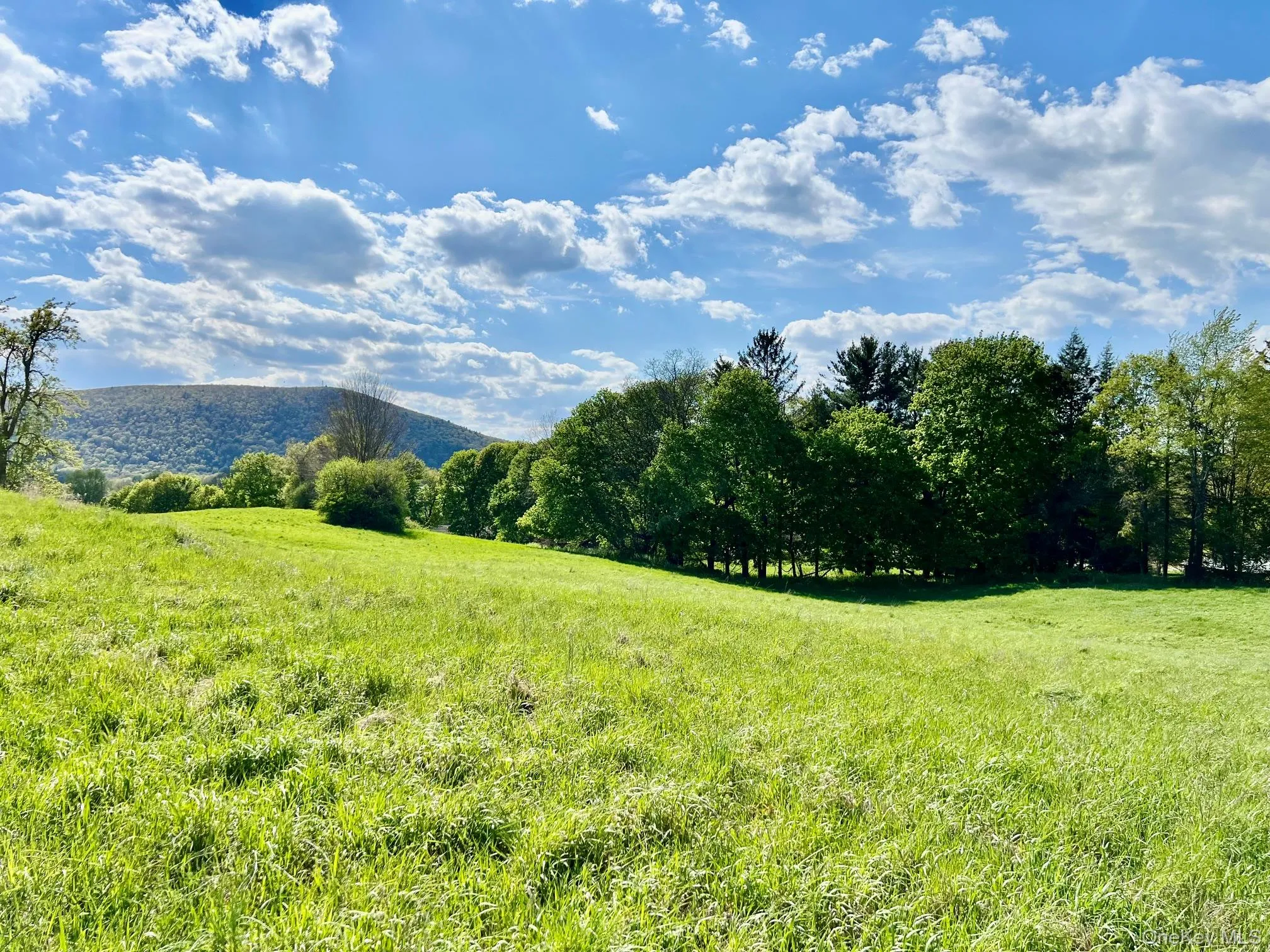 7668 Route 82, Pine Plains, NY, 4 Bedrooms Bedrooms, 9 Rooms Rooms,1 BathroomBathrooms,Residential,For Rent,Route 82,0,880499 7668 Route 82, Pine Plains, NY, 4 Bedrooms Bedrooms, 9 Rooms Rooms,1 BathroomBathrooms,Residential,For Rent,Route 82,0,880499