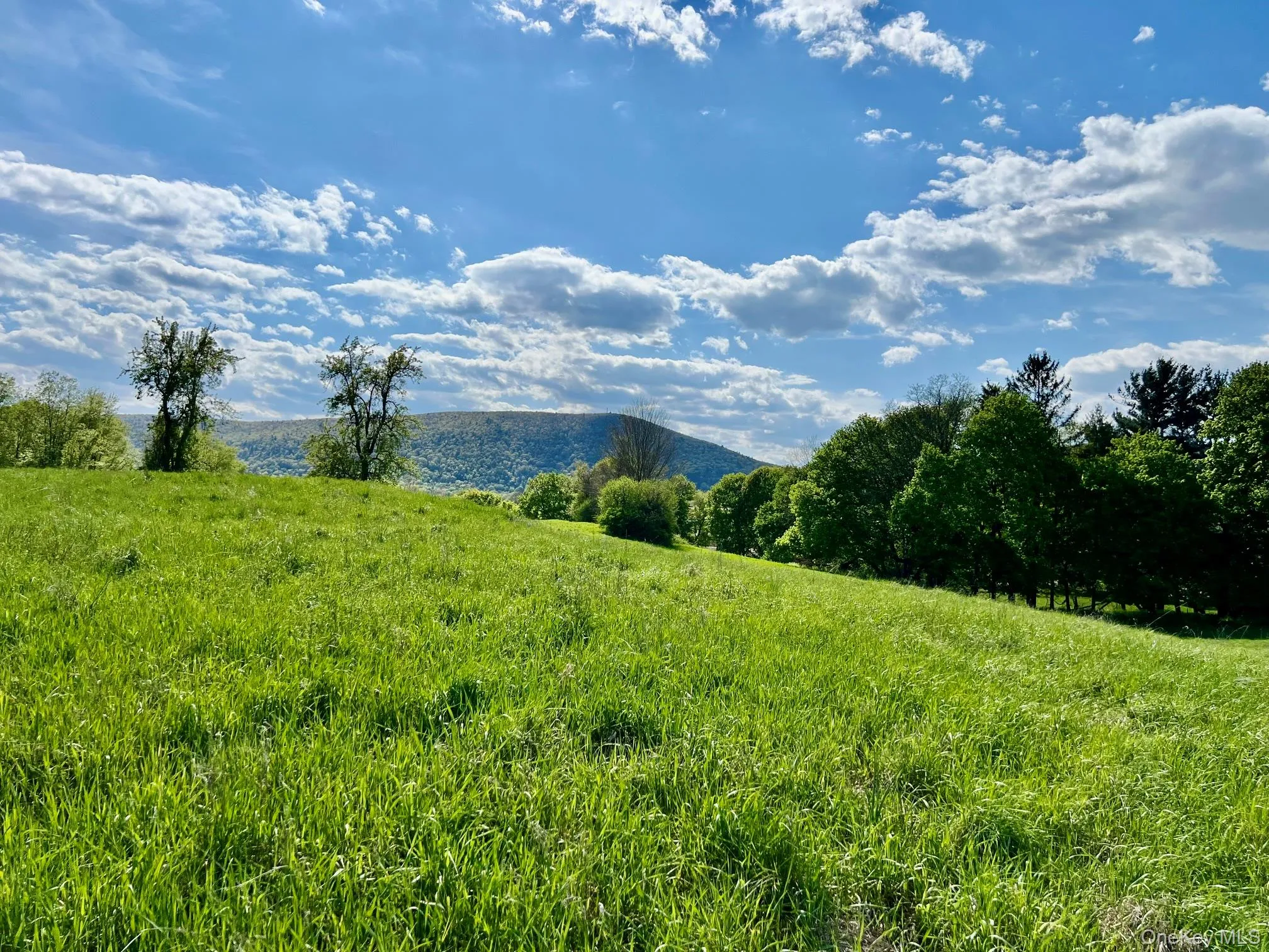 7668 Route 82, Pine Plains, NY, 4 Bedrooms Bedrooms, 9 Rooms Rooms,1 BathroomBathrooms,Residential,For Rent,Route 82,0,880499 7668 Route 82, Pine Plains, NY, 4 Bedrooms Bedrooms, 9 Rooms Rooms,1 BathroomBathrooms,Residential,For Rent,Route 82,0,880499