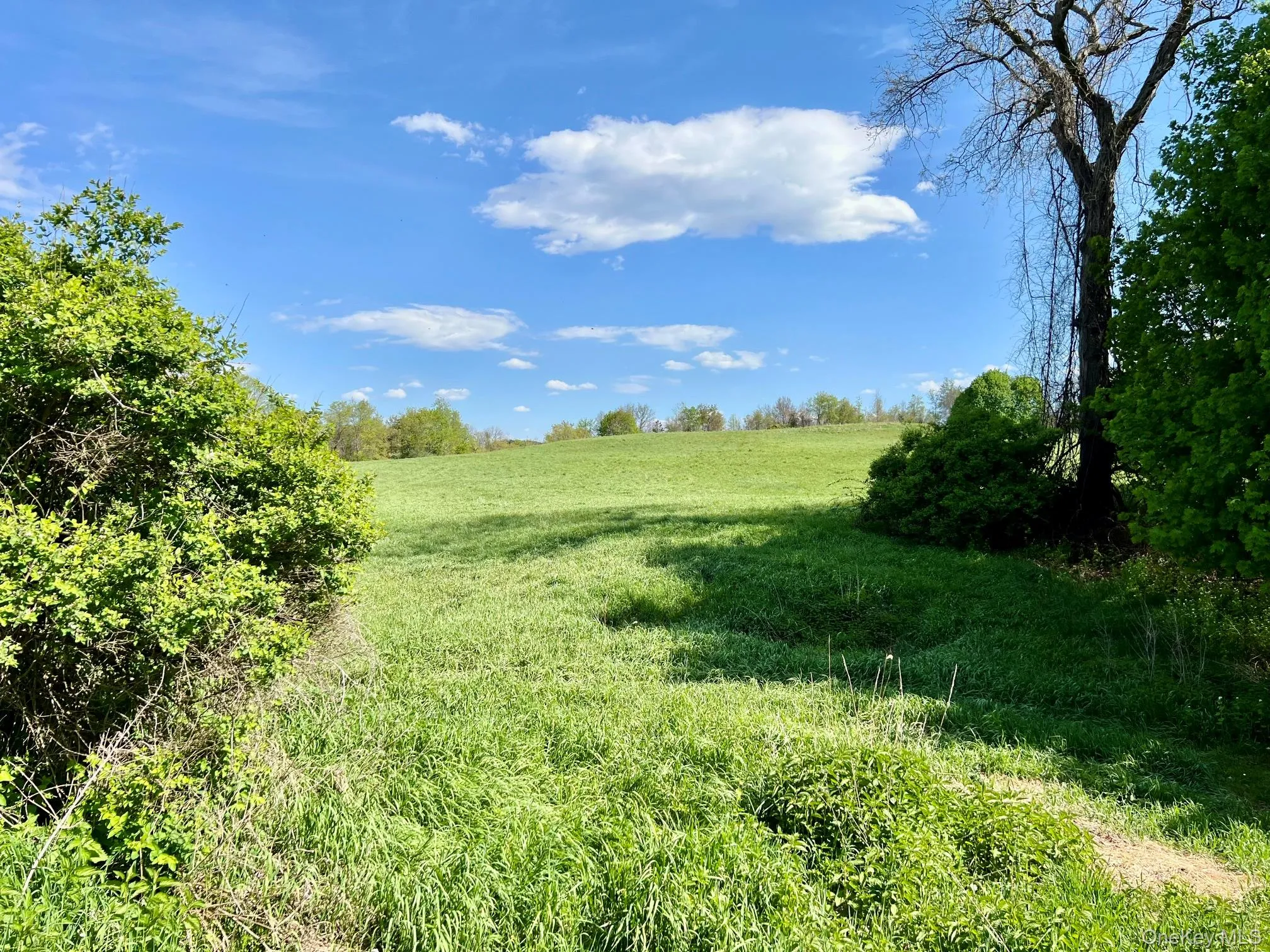 7668 Route 82, Pine Plains, NY, 4 Bedrooms Bedrooms, 9 Rooms Rooms,1 BathroomBathrooms,Residential,For Rent,Route 82,0,880499 7668 Route 82, Pine Plains, NY, 4 Bedrooms Bedrooms, 9 Rooms Rooms,1 BathroomBathrooms,Residential,For Rent,Route 82,0,880499