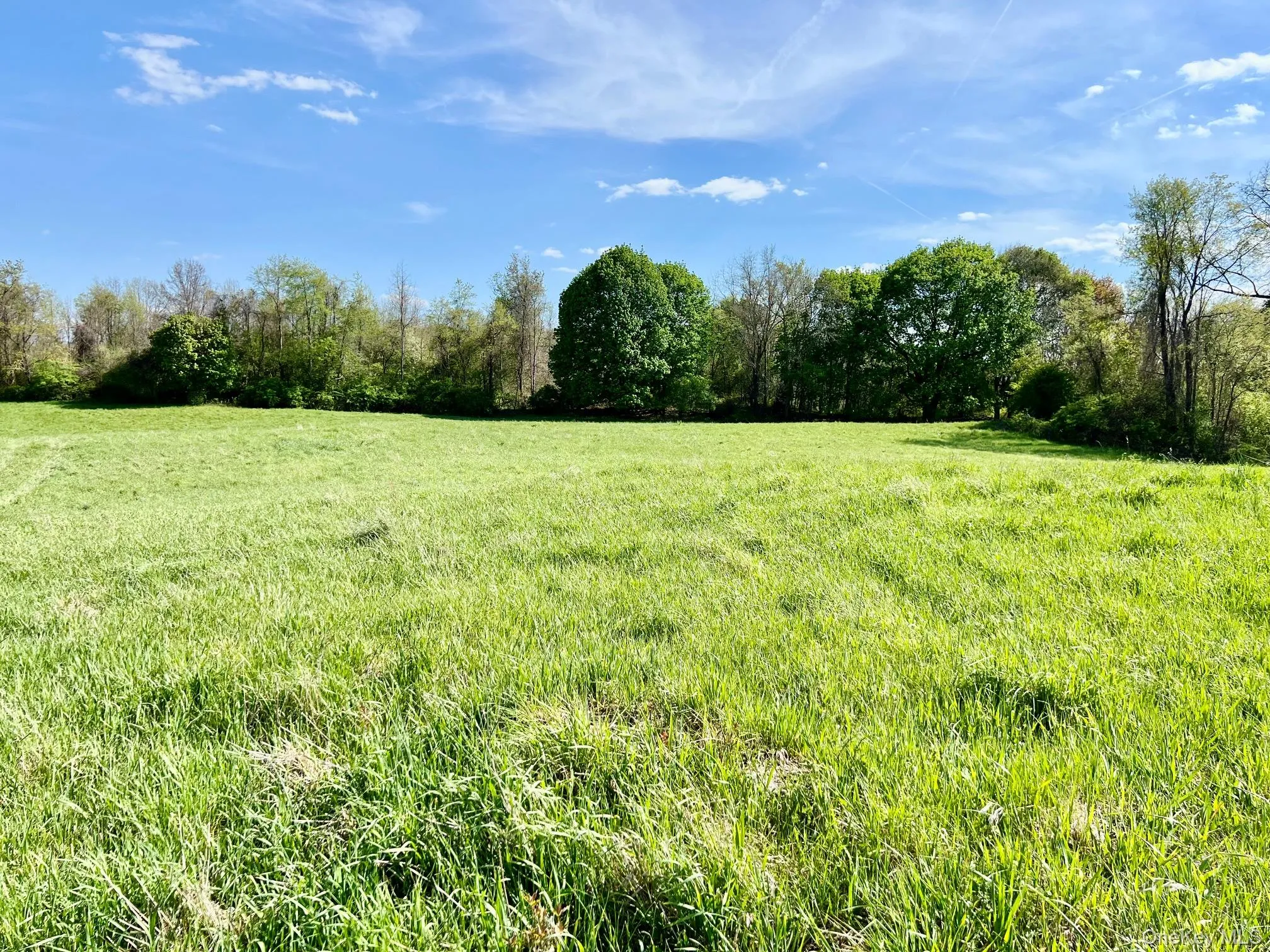 7668 Route 82, Pine Plains, NY, 4 Bedrooms Bedrooms, 9 Rooms Rooms,1 BathroomBathrooms,Residential,For Rent,Route 82,0,880499 7668 Route 82, Pine Plains, NY, 4 Bedrooms Bedrooms, 9 Rooms Rooms,1 BathroomBathrooms,Residential,For Rent,Route 82,0,880499