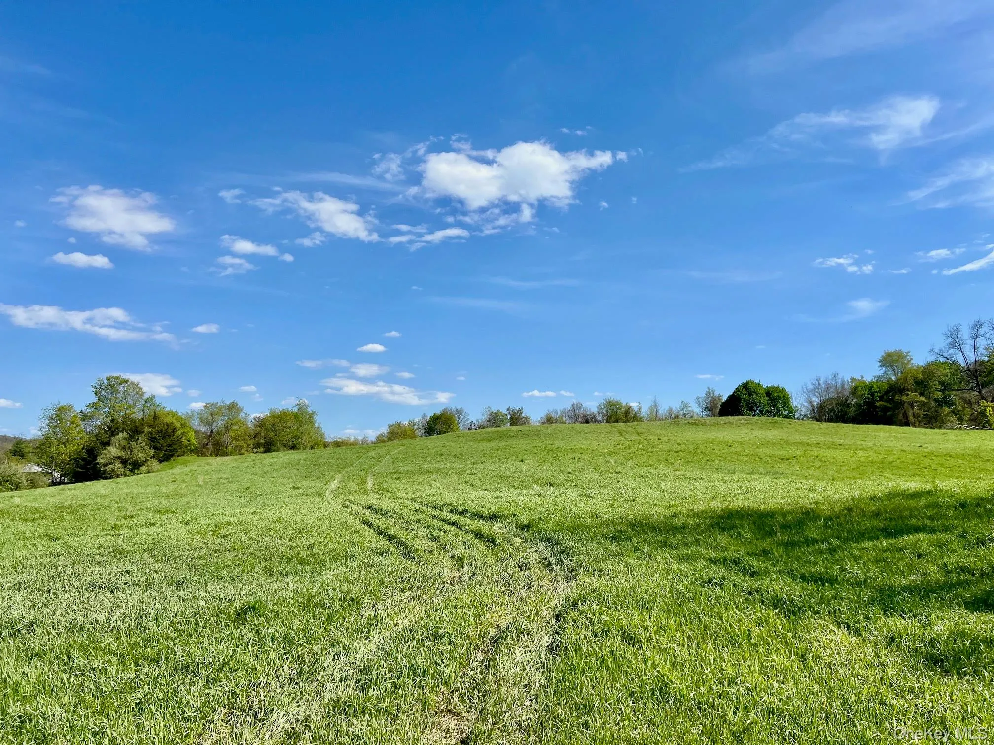 7668 Route 82, Pine Plains, NY, 4 Bedrooms Bedrooms, 9 Rooms Rooms,1 BathroomBathrooms,Residential,For Rent,Route 82,0,880499 7668 Route 82, Pine Plains, NY, 4 Bedrooms Bedrooms, 9 Rooms Rooms,1 BathroomBathrooms,Residential,For Rent,Route 82,0,880499
