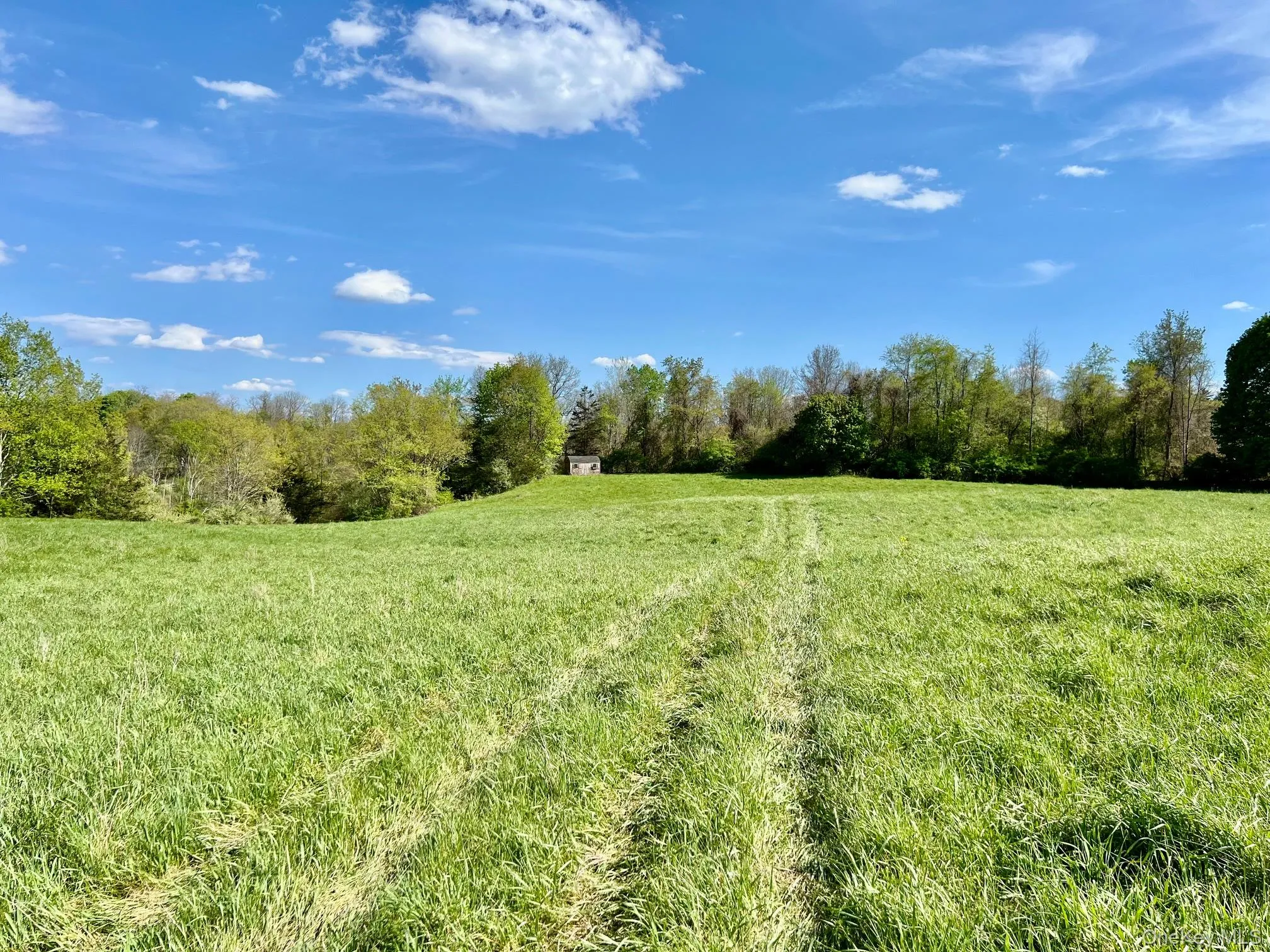 7668 Route 82, Pine Plains, NY, 4 Bedrooms Bedrooms, 9 Rooms Rooms,1 BathroomBathrooms,Residential,For Rent,Route 82,0,880499 7668 Route 82, Pine Plains, NY, 4 Bedrooms Bedrooms, 9 Rooms Rooms,1 BathroomBathrooms,Residential,For Rent,Route 82,0,880499