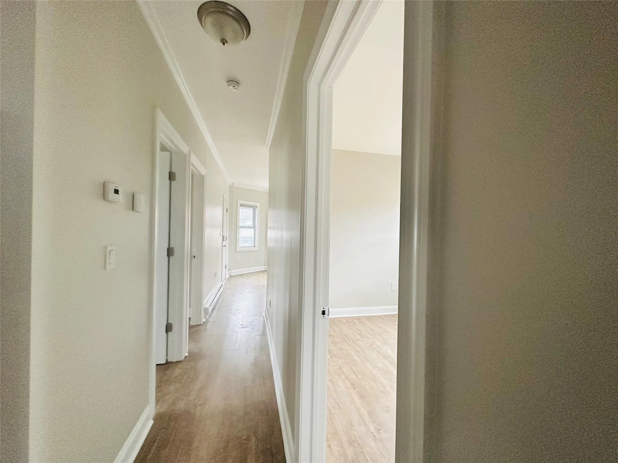 Corridor featuring wood-type flooring and crown molding Corridor featuring wood-type flooring and crown molding