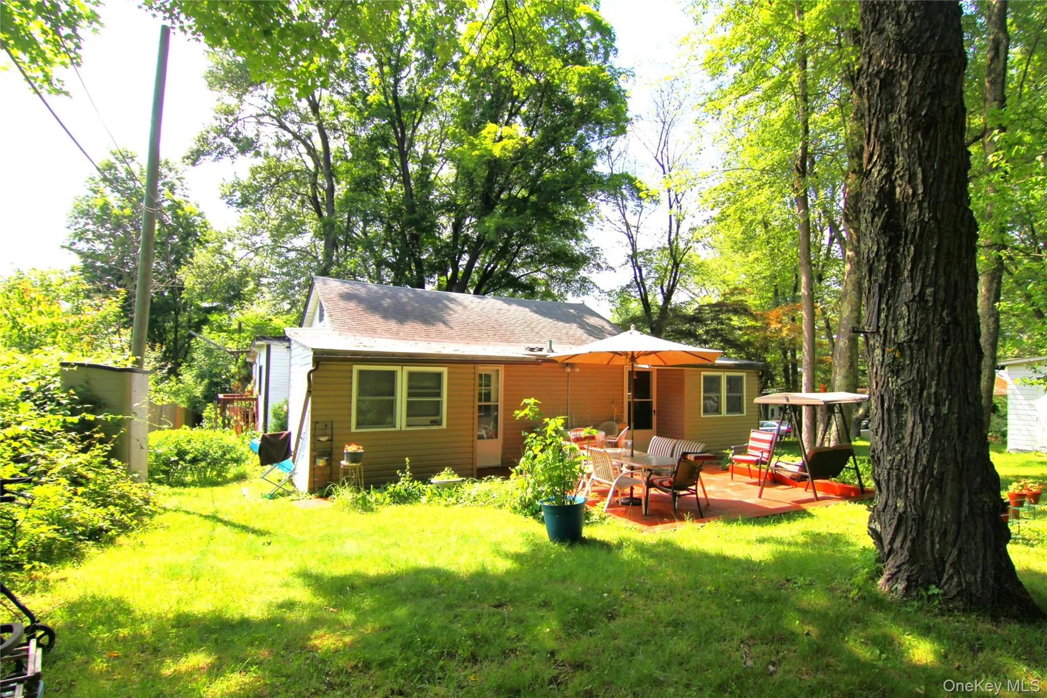 Back of property featuring a patio area and a yard Back of property featuring a patio area and a yard