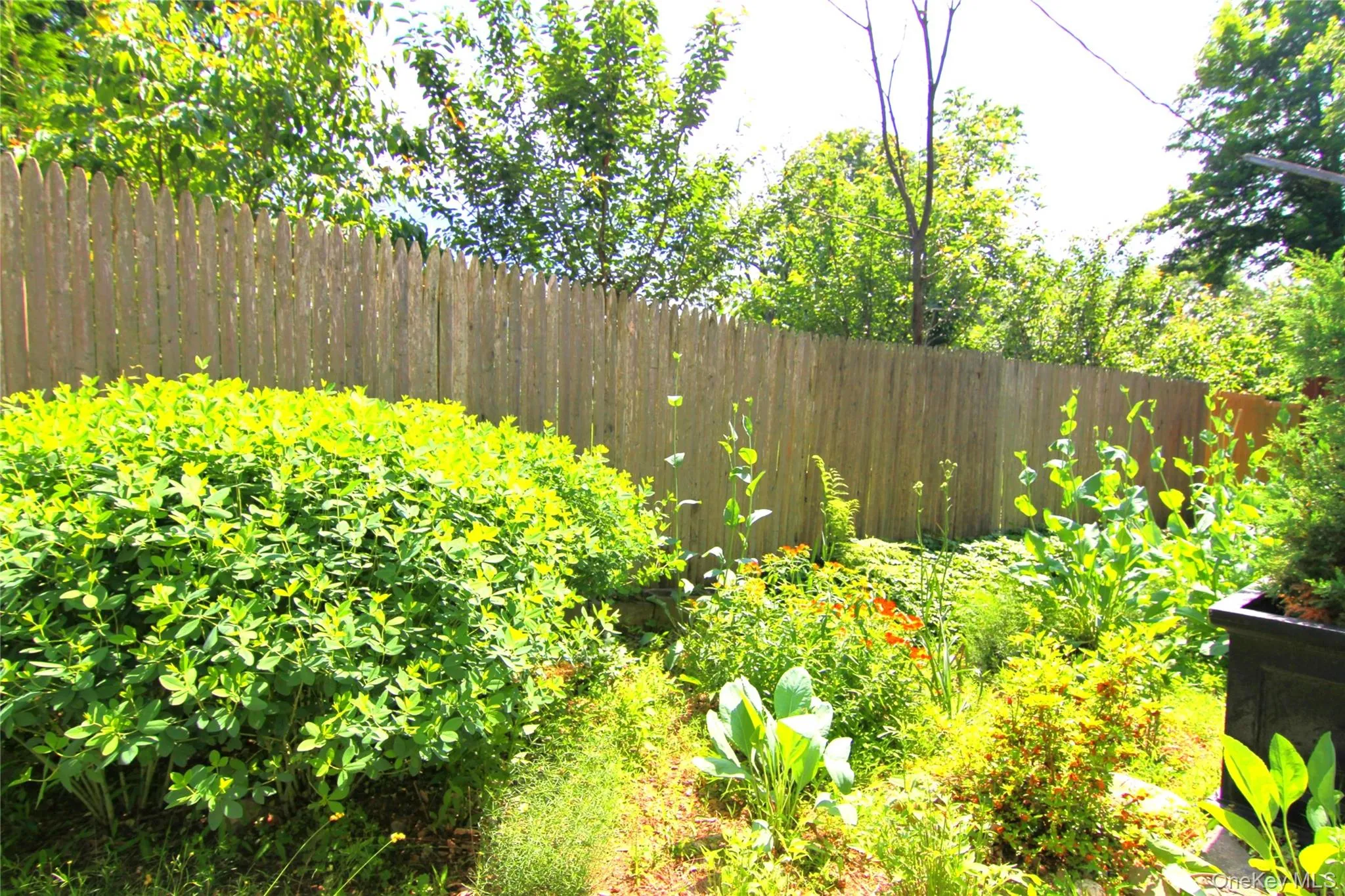 View of yard View of yard