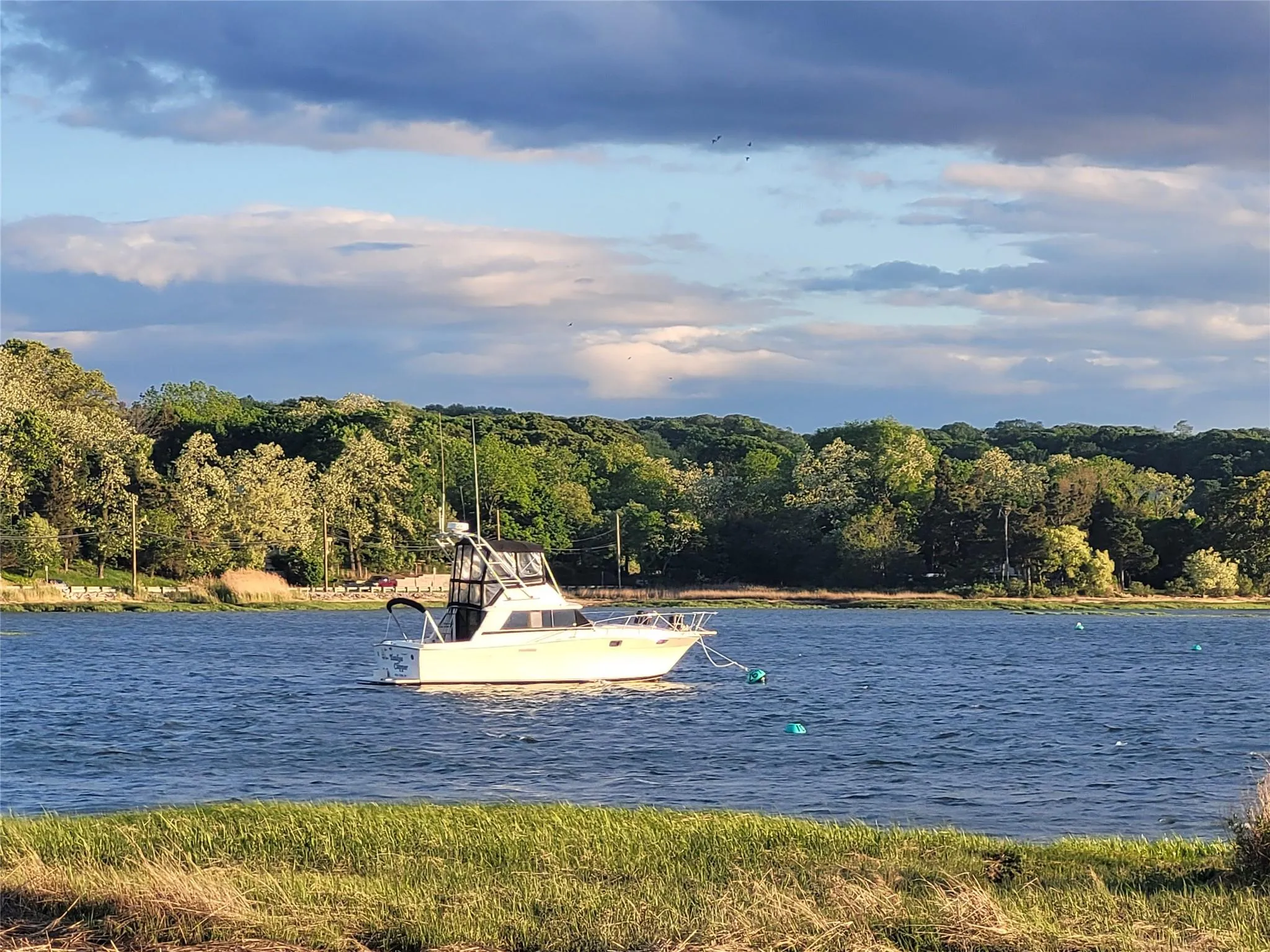 Water view with a heavily wooded area and a floating dock Water view with a heavily wooded area and a floating dock