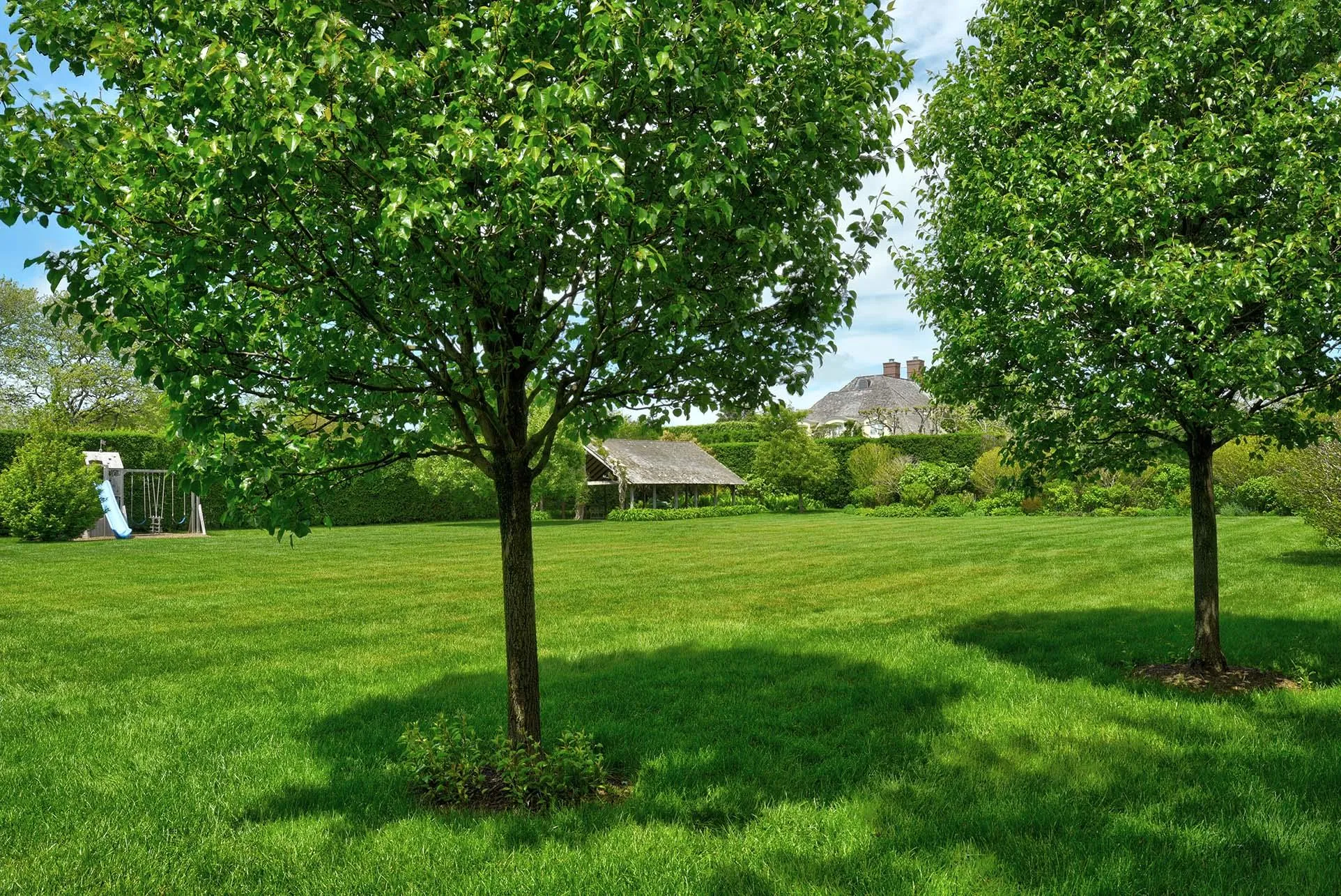 View of grassy yard View of grassy yard
