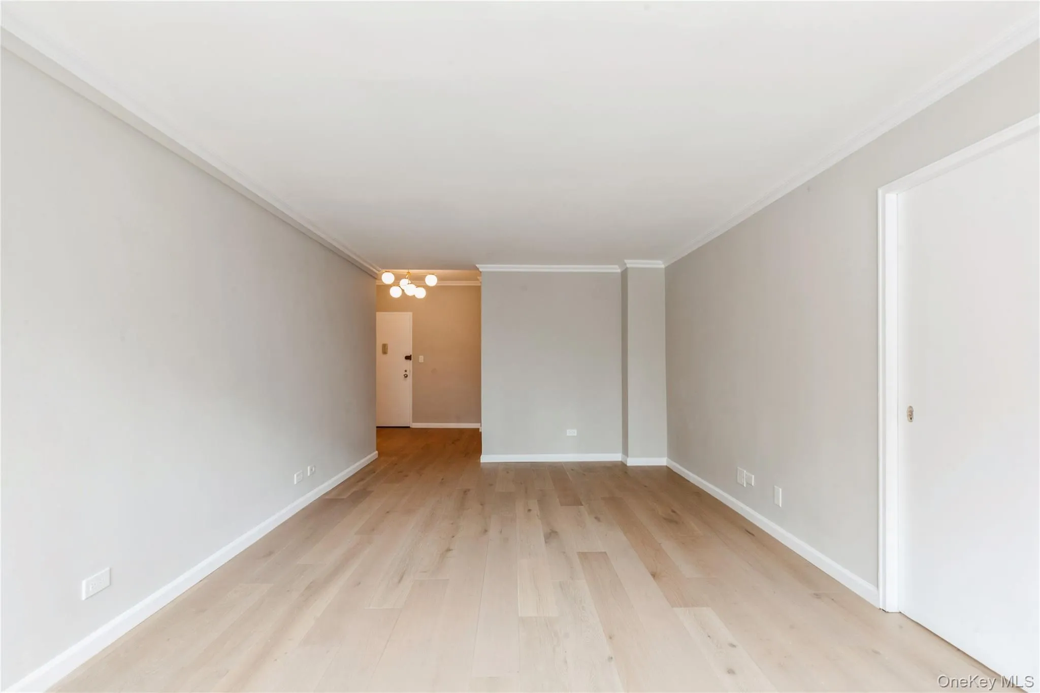 Unfurnished room with ornamental molding, light wood-style floors, and a chandelier Unfurnished room with ornamental molding, light wood-style floors, and a chandelier