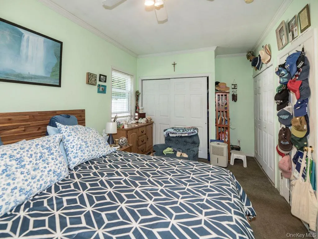 Carpeted bedroom featuring crown molding, a closet, and ceiling fan Carpeted bedroom featuring crown molding, a closet, and ceiling fan