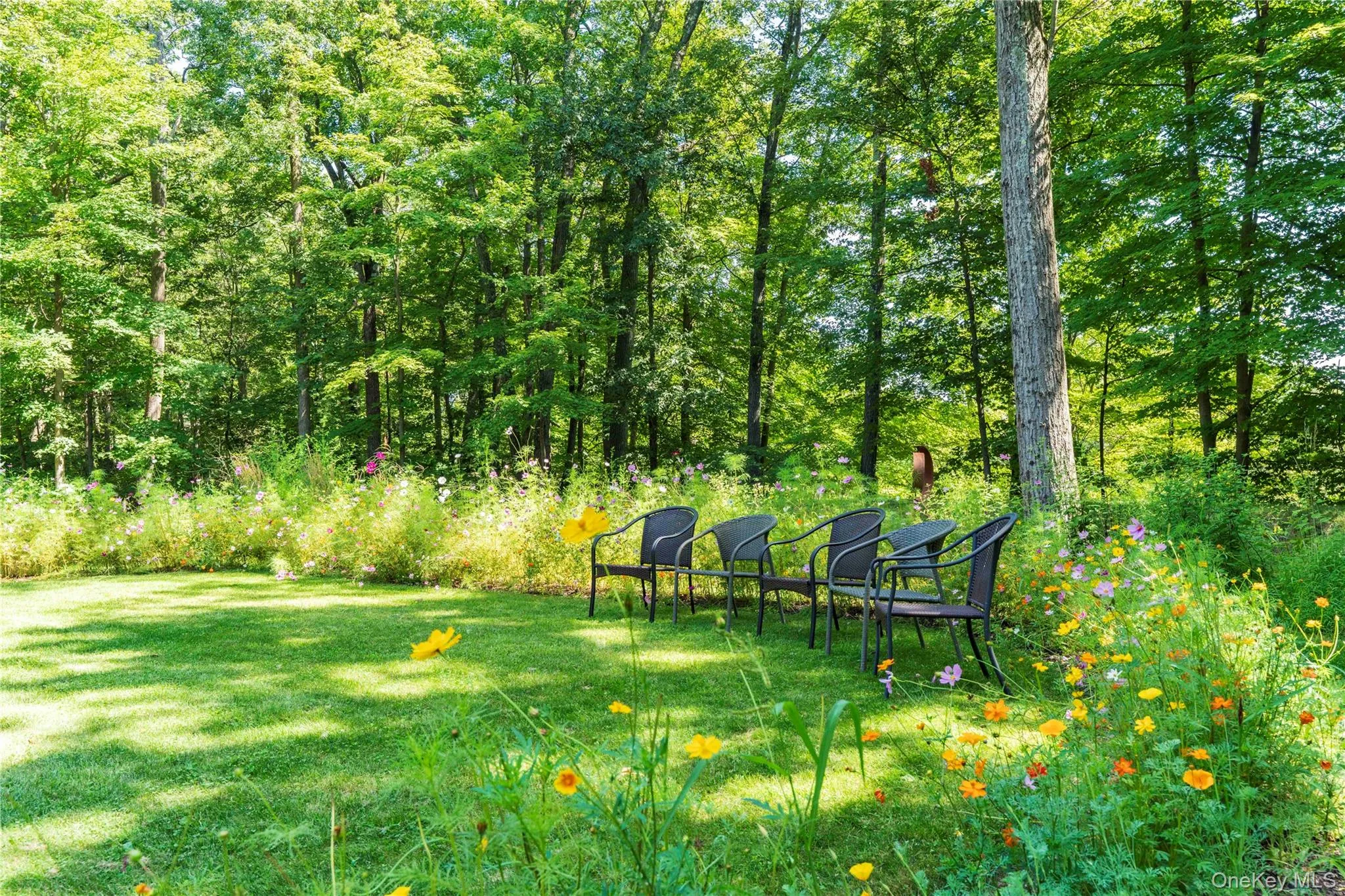 A Sitting Area to the Forest, Quiet & Nature A Sitting Area to the Forest, Quiet & Nature