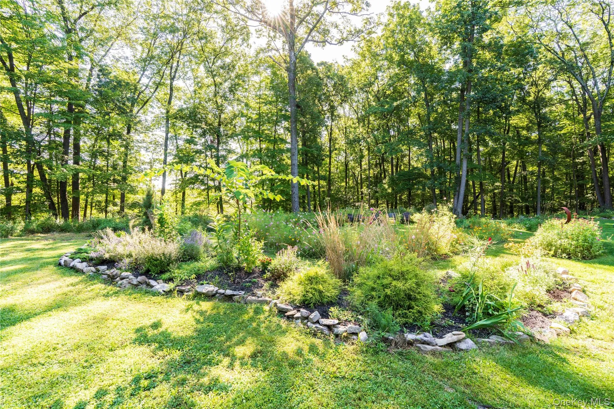 Lovely Individual Beds of Flowers & Bushes Lovely Individual Beds of Flowers & Bushes