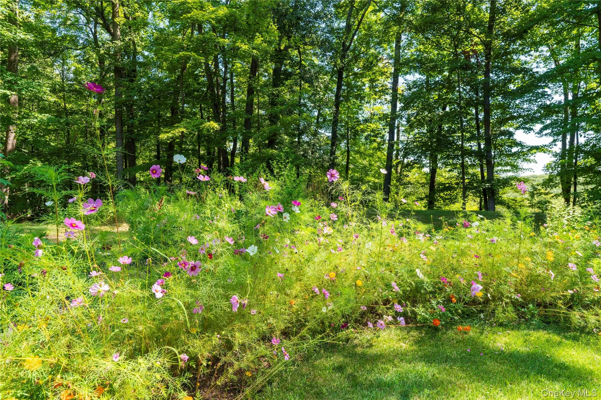 There are a Varieties of Butterfly Garden Perennials There are a Varieties of Butterfly Garden Perennials