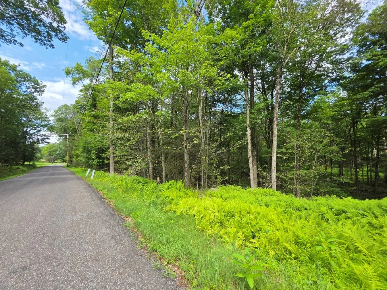 View of asphalt road View of asphalt road