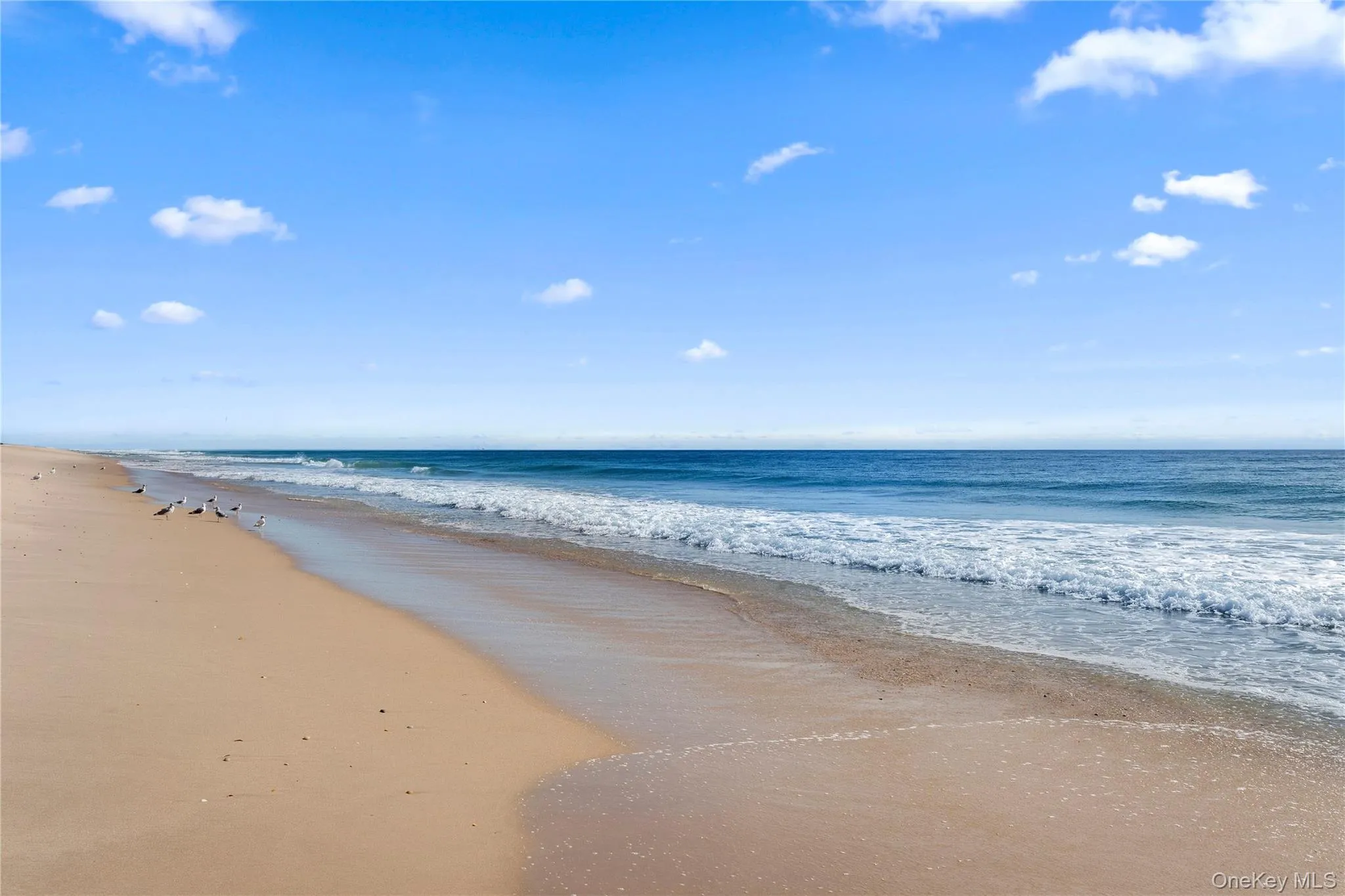 and world renowned Ocean Beaches ! and world renowned Ocean Beaches !