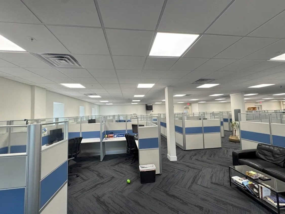 Carpeted office featuring a drop ceiling Carpeted office featuring a drop ceiling