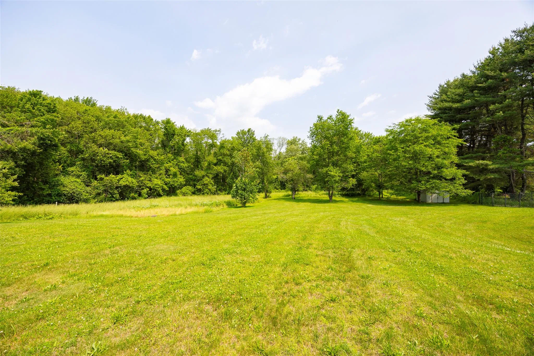 View of grassy yard with a wooded view View of grassy yard with a wooded view