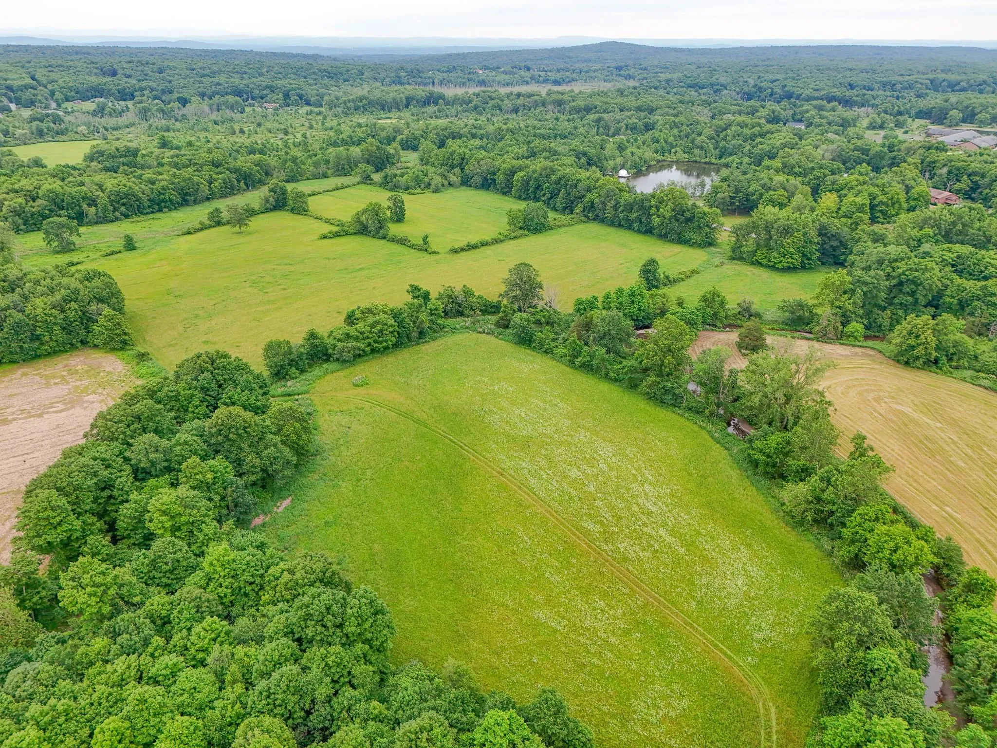 Aerial view of a forest Aerial view of a forest