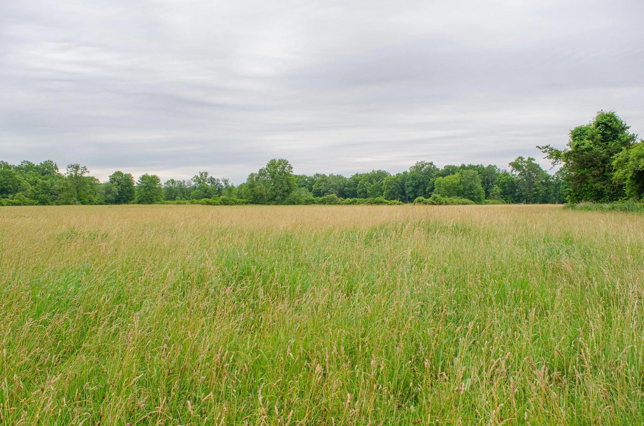 View of undeveloped land featuring rural landscape View of undeveloped land featuring rural landscape