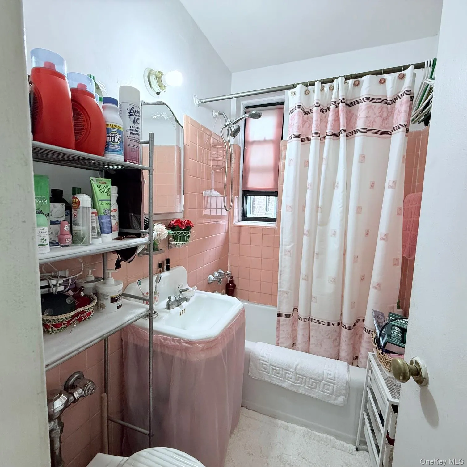 83-15 98 Street, New York, NY, 1 Bedroom Bedrooms, 3 Rooms Rooms,1 BathroomBathrooms,Residential,For Rent,98,0,882937 83-15 98 Street, New York, NY, 1 Bedroom Bedrooms, 3 Rooms Rooms,1 BathroomBathrooms,Residential,For Rent,98,0,882937