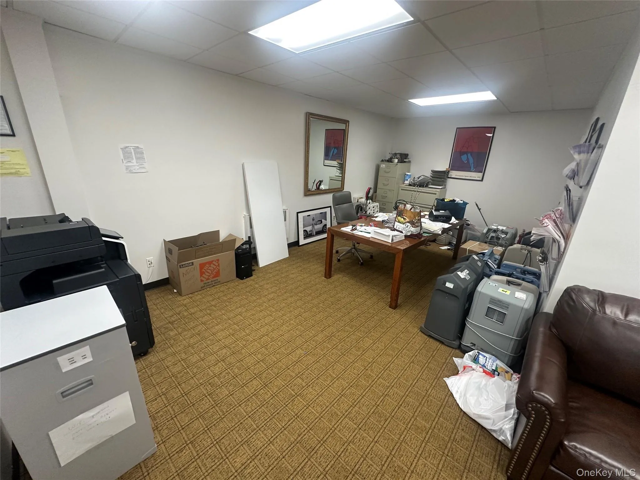 Carpeted office featuring a paneled ceiling Carpeted office featuring a paneled ceiling