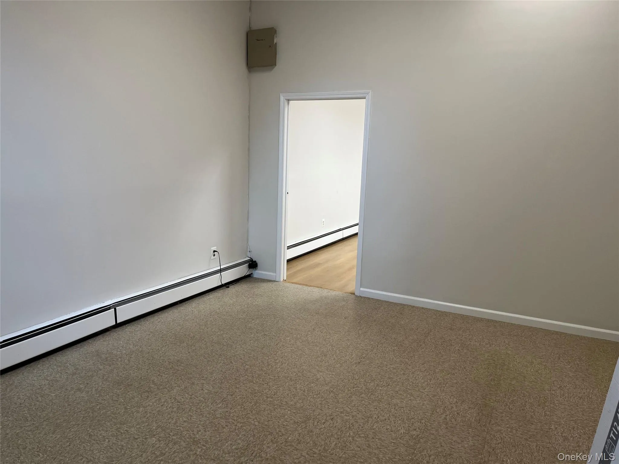 Empty room with a baseboard radiator and light colored carpet Empty room with a baseboard radiator and light colored carpet