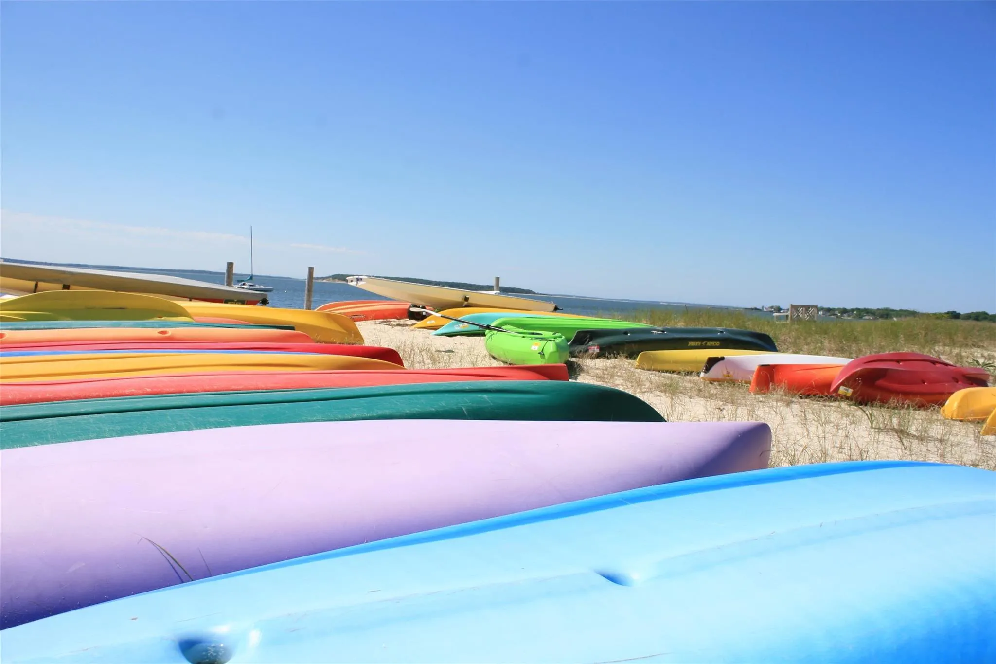 275 Hamilton Avenue, Southold, NY, 3 Bedrooms Bedrooms, 5 Rooms Rooms,1 BathroomBathrooms,Residential Lease,Idx,Hamilton,883345 275 Hamilton Avenue, Southold, NY, 3 Bedrooms Bedrooms, 5 Rooms Rooms,1 BathroomBathrooms,Residential Lease,Idx,Hamilton,883345