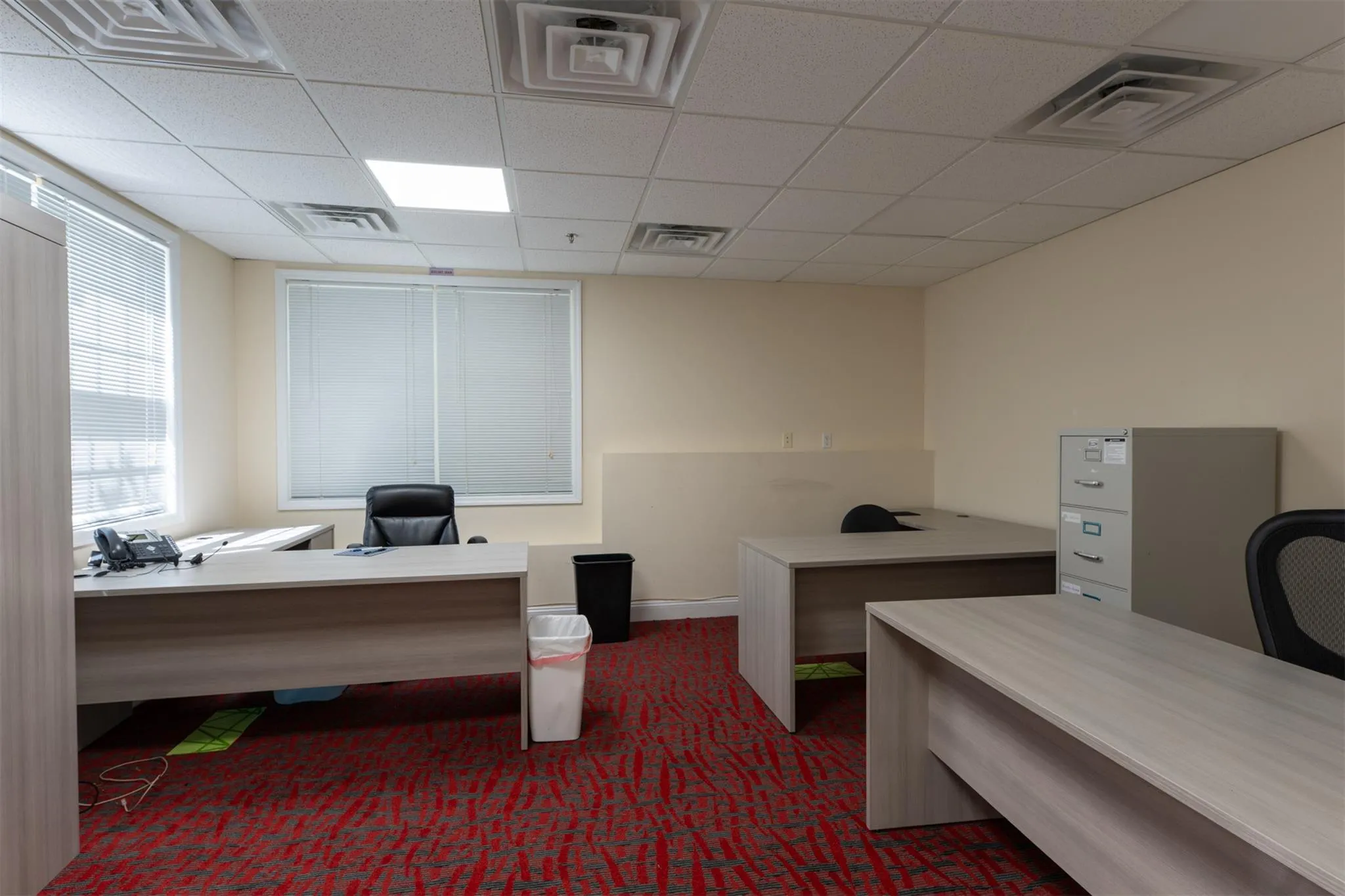 Office featuring carpet flooring and a paneled ceiling Office featuring carpet flooring and a paneled ceiling