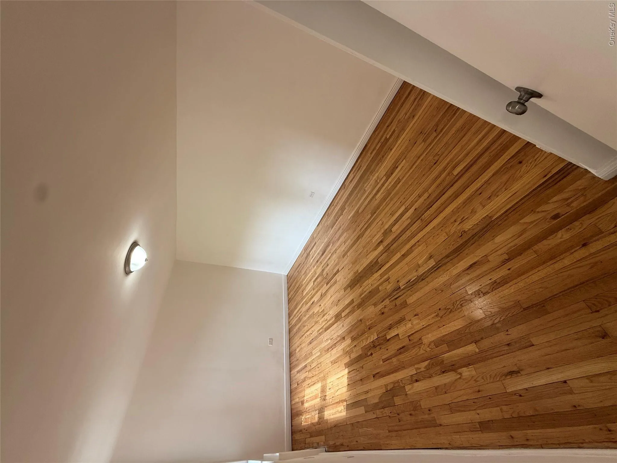 Spare room featuring hardwood / wood-style flooring and baseboards Spare room featuring hardwood / wood-style flooring and baseboards