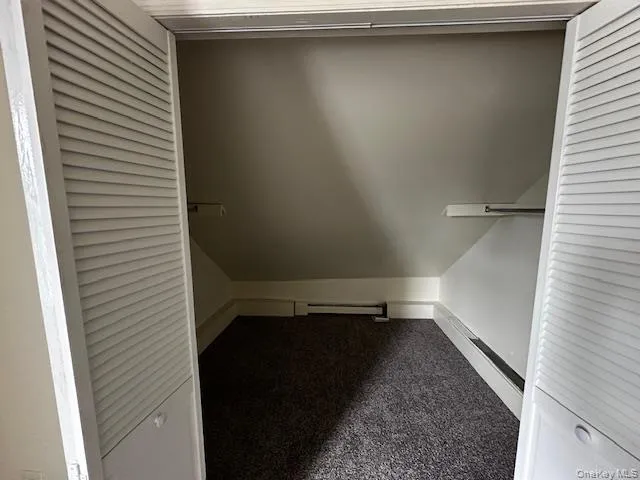Walk in closet featuring carpet and a baseboard heating unit Walk in closet featuring carpet and a baseboard heating unit