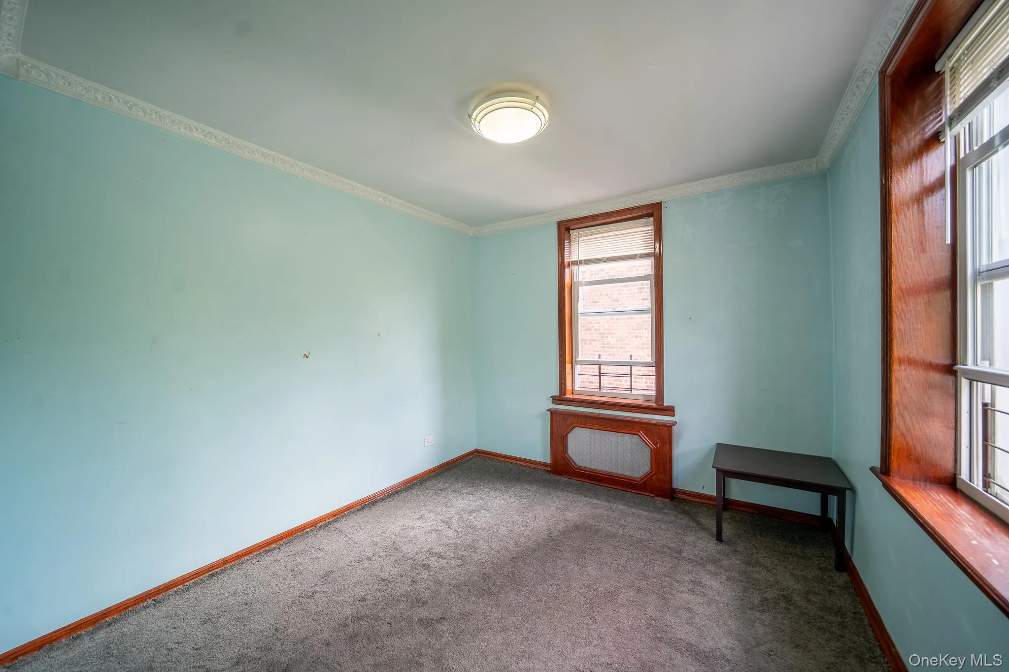 Spare room featuring carpet and ornamental molding Spare room featuring carpet and ornamental molding