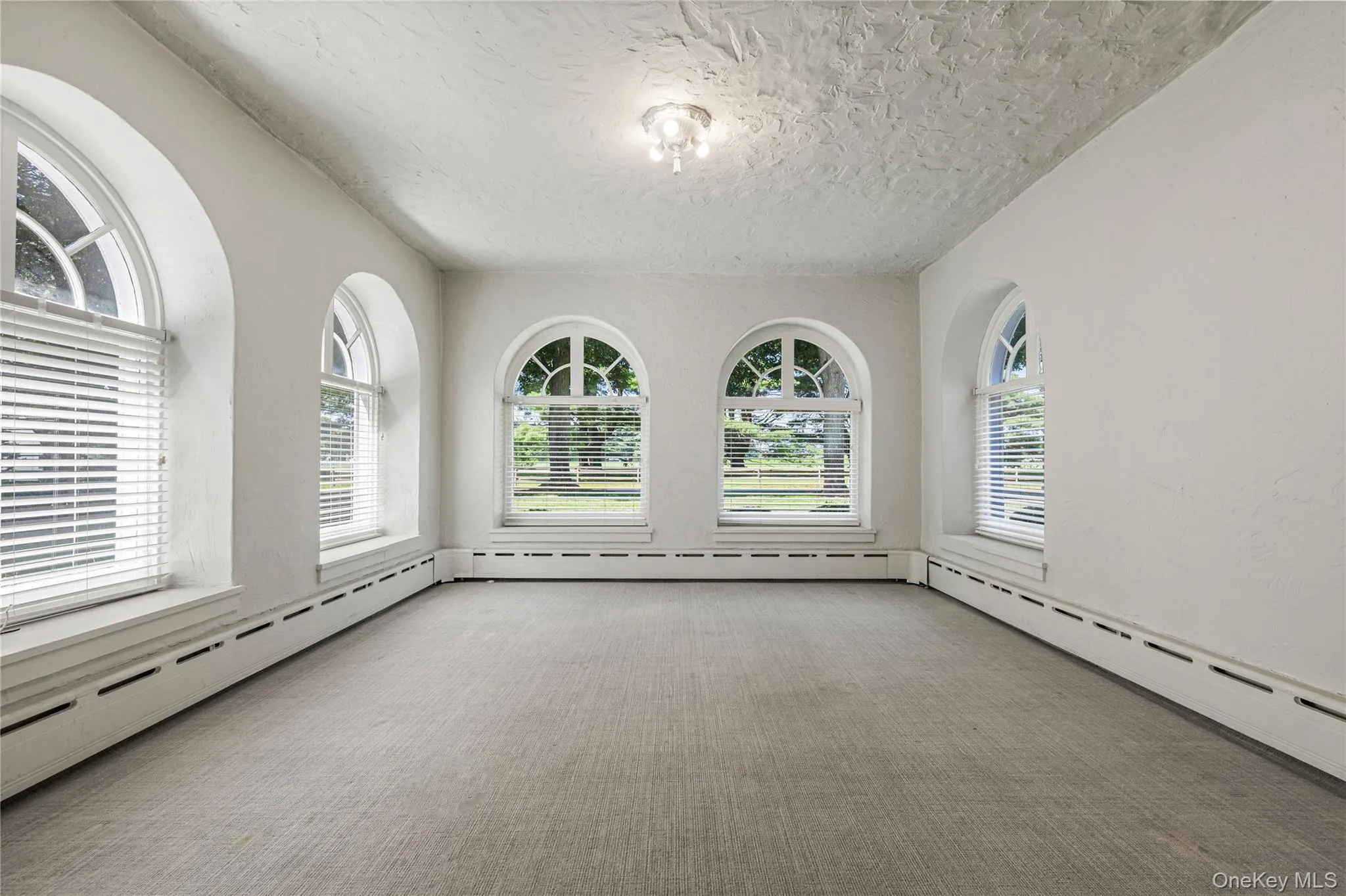 New Carpet and Windows! New Carpet and Windows!