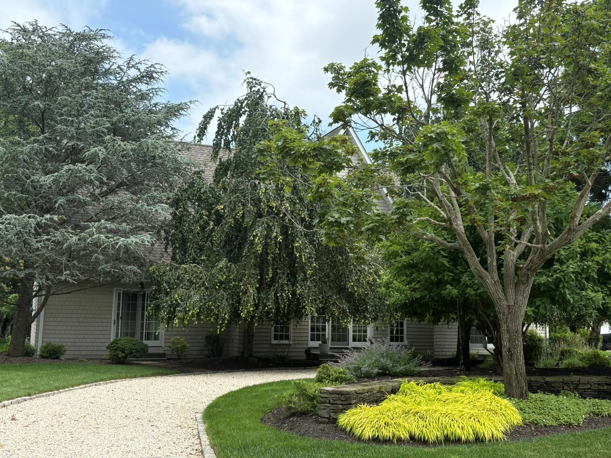 View of property hidden behind natural elements View of property hidden behind natural elements