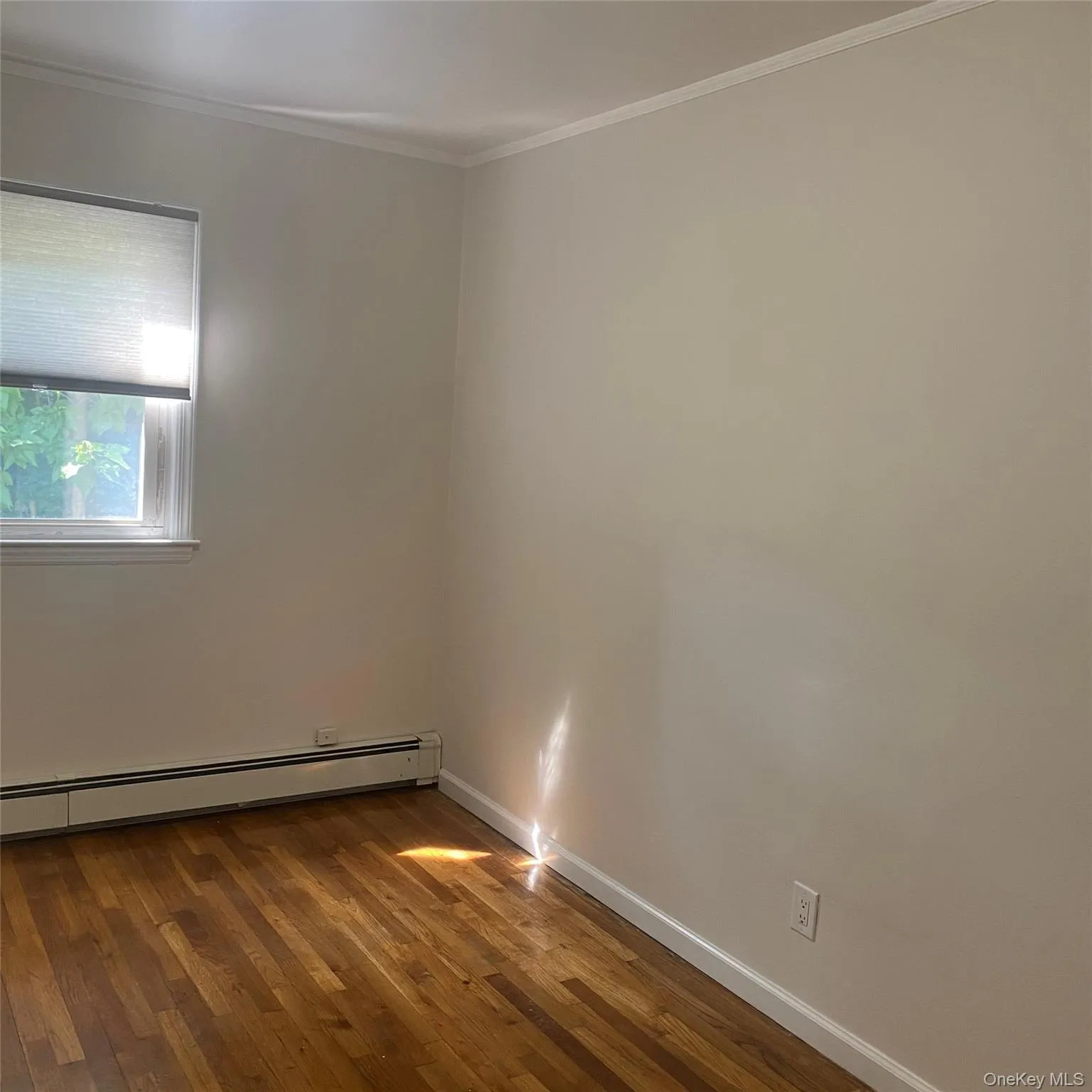 Bedroom featuring a baseboard radiator, crown molding, and wood finished floors Bedroom featuring a baseboard radiator, crown molding, and wood finished floors