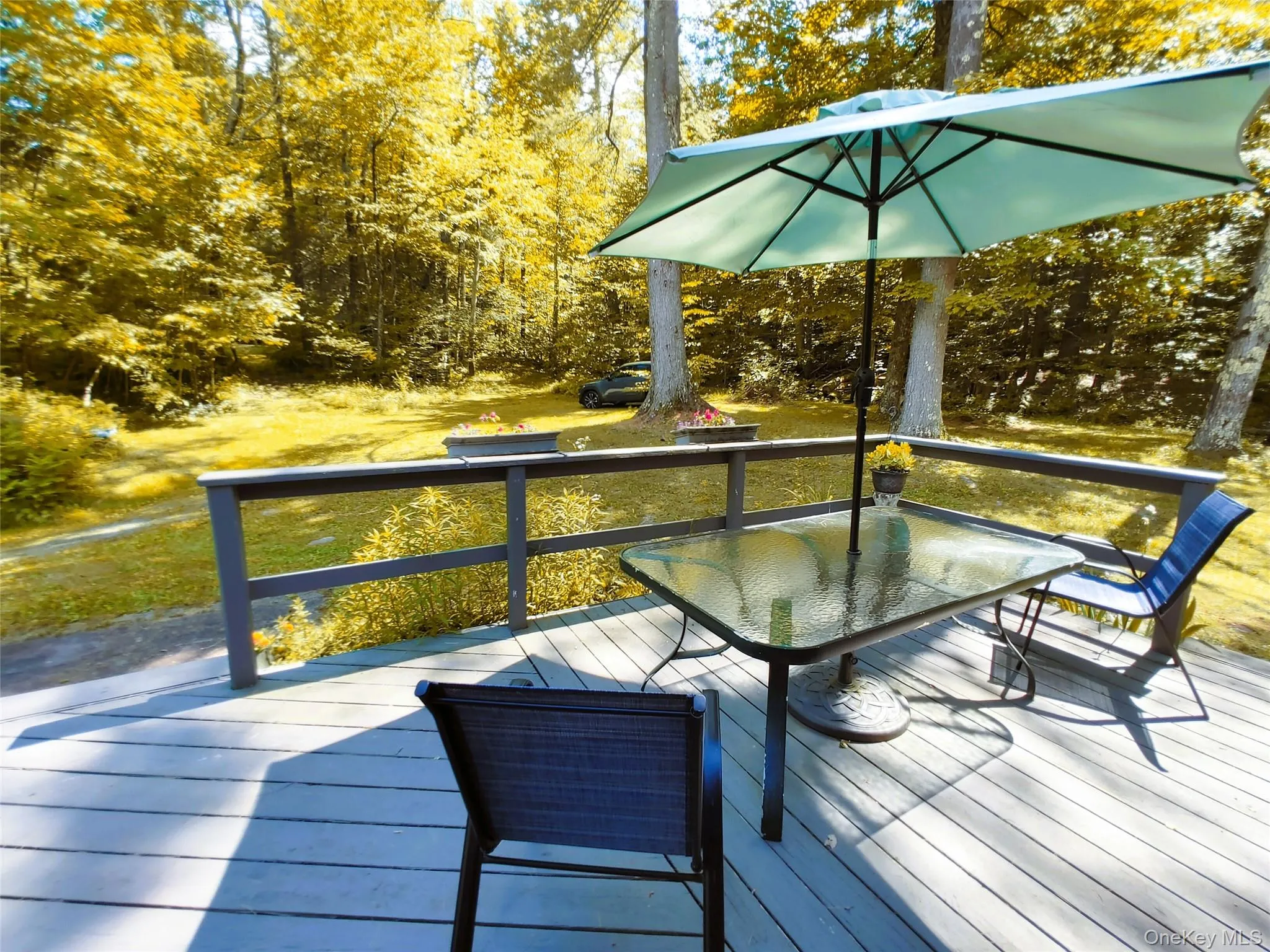Wooden terrace with outdoor dining area Wooden terrace with outdoor dining area