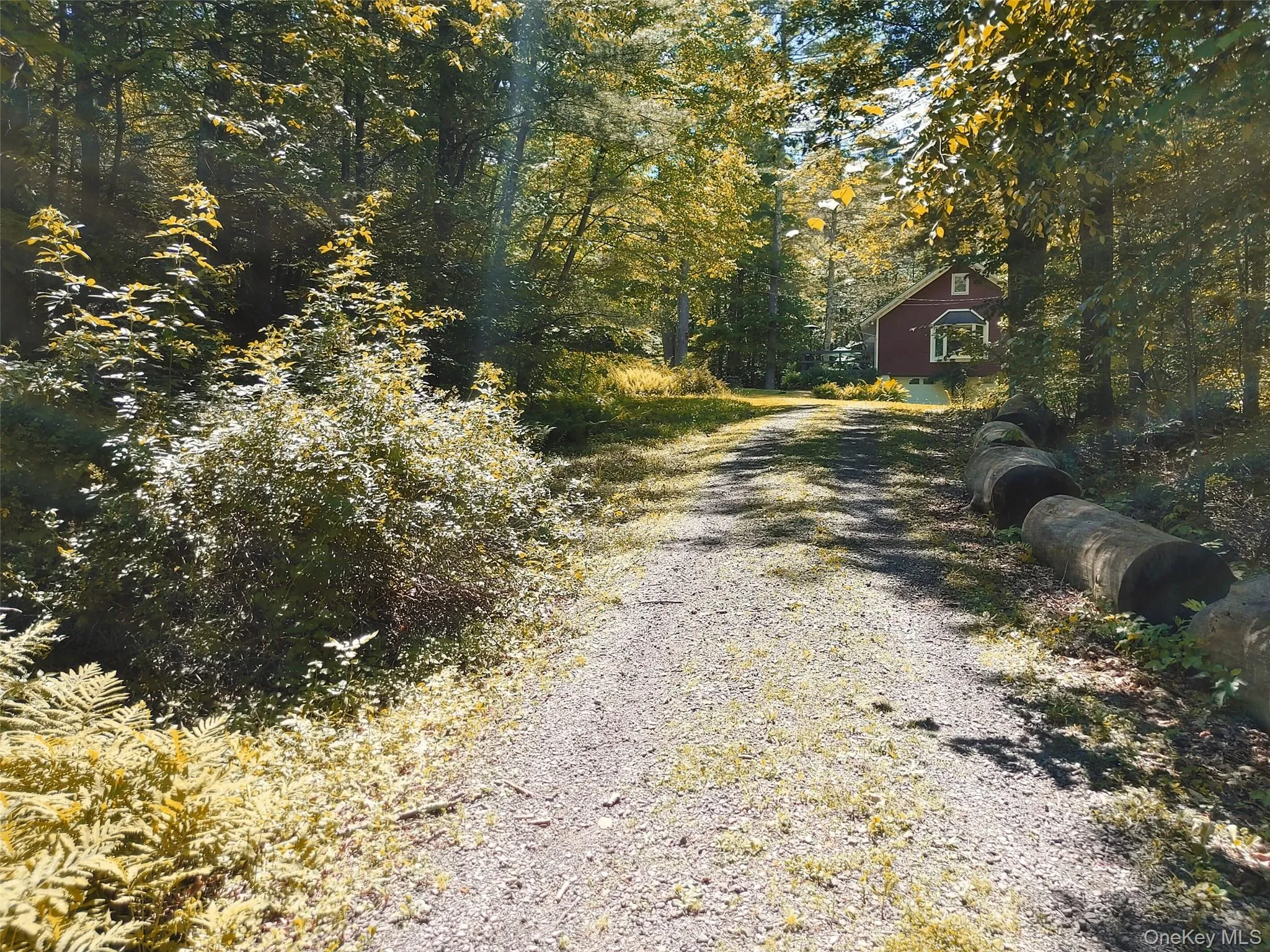 View of driveway featuring a view of trees View of driveway featuring a view of trees