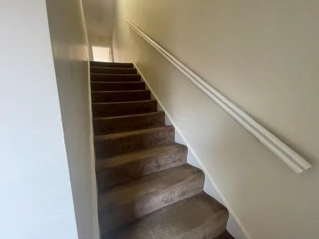 Staircase with carpet Staircase with carpet