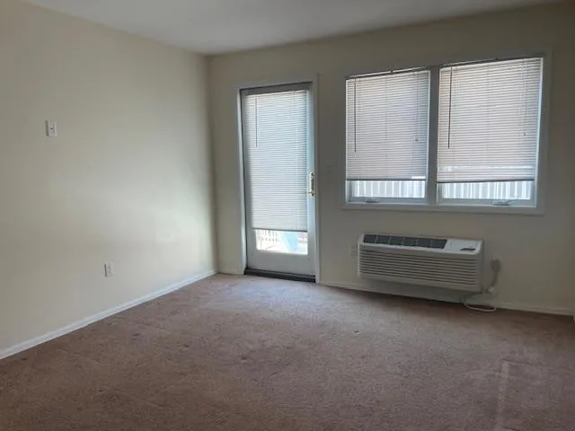 Spare room with carpet floors and healthy amount of natural light Spare room with carpet floors and healthy amount of natural light