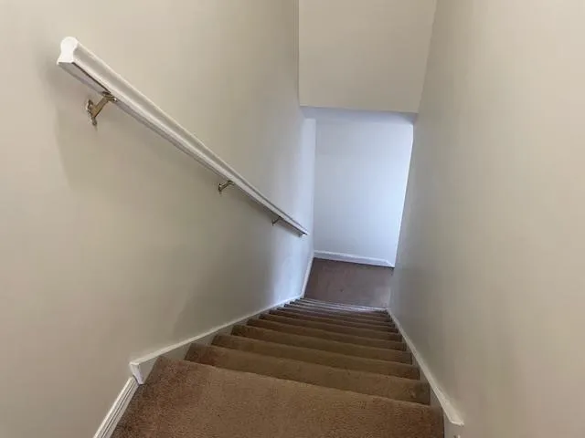 Stairway featuring carpet flooring and baseboards Stairway featuring carpet flooring and baseboards