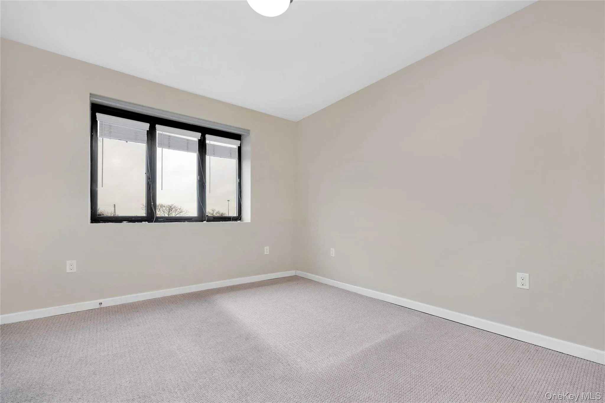 Carpeted empty room featuring baseboards Carpeted empty room featuring baseboards
