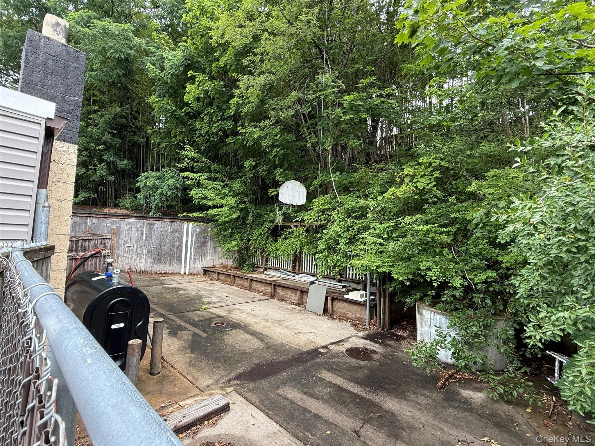 backyard area backyard area