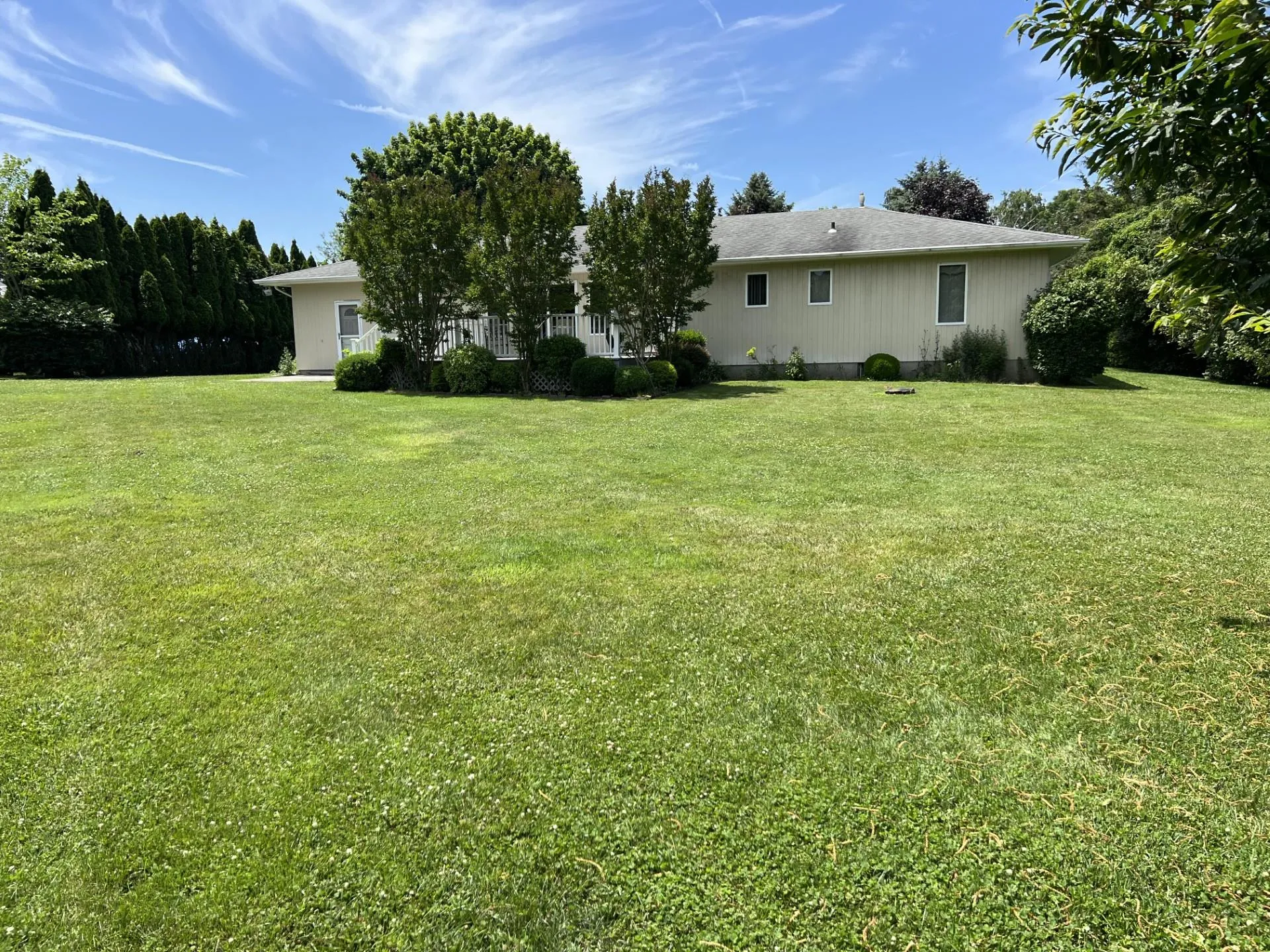 large backyard ready for fun and games large backyard ready for fun and games