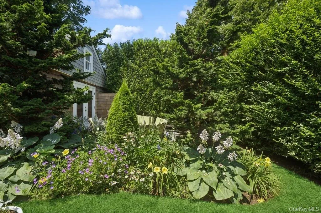 View of garden View of garden